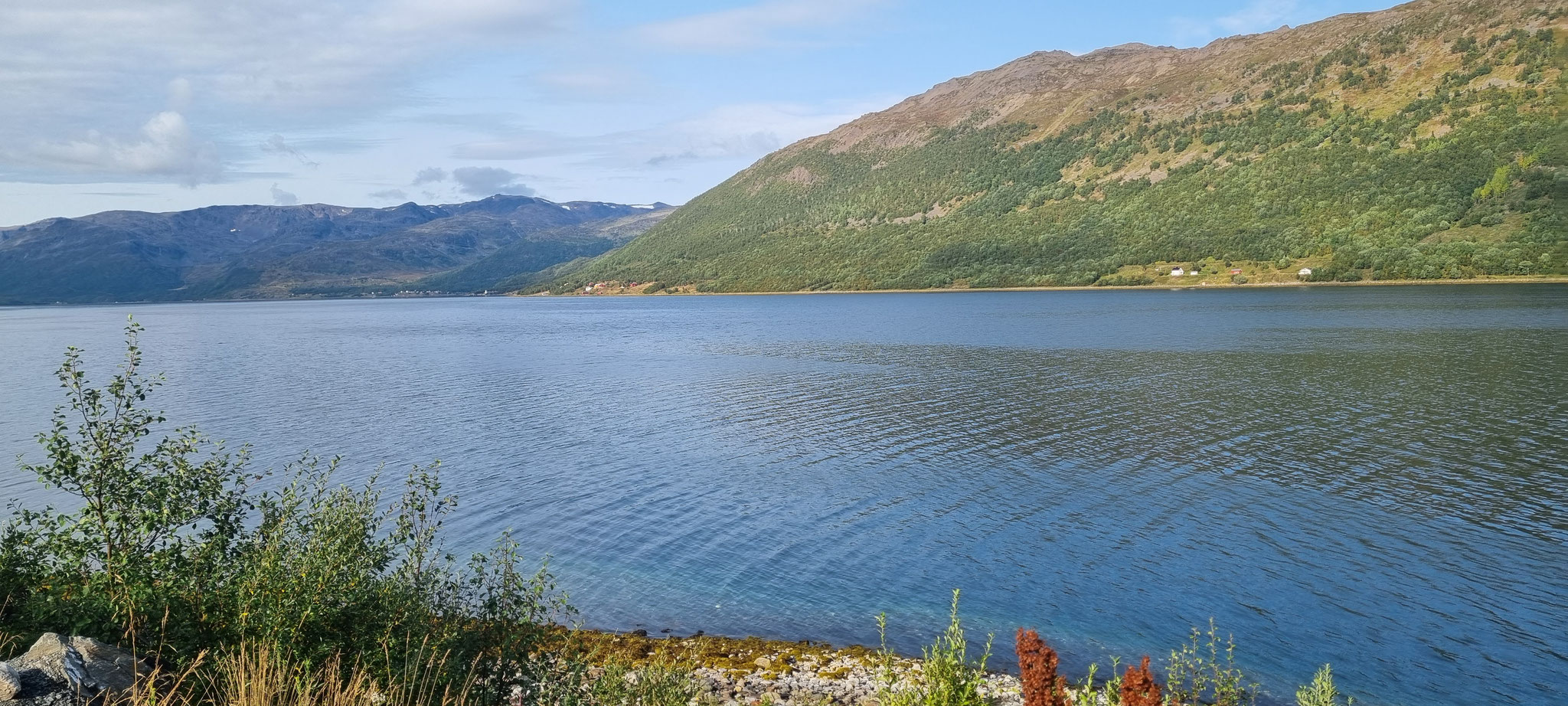 Ein Halt am Langfjord...