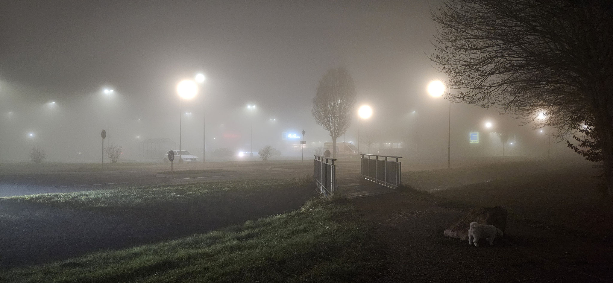Abendspaziergang...