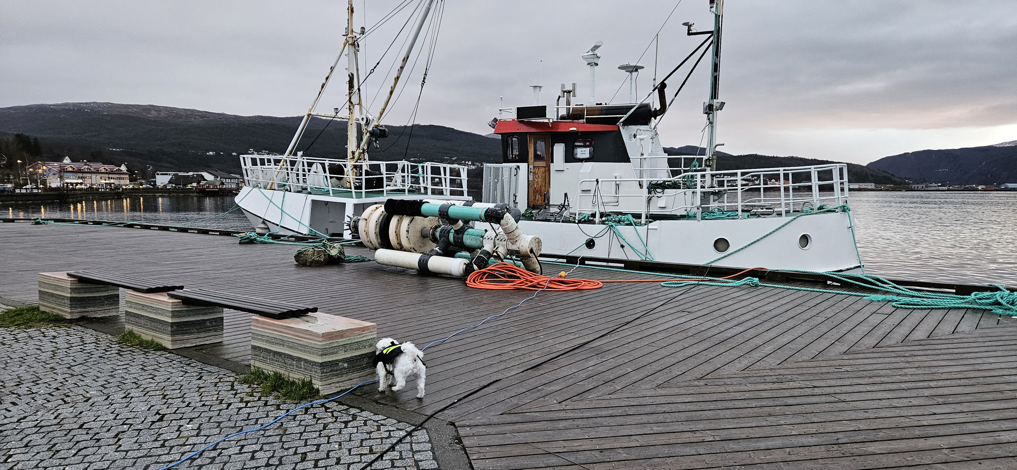 Ein schöner Fischkutter