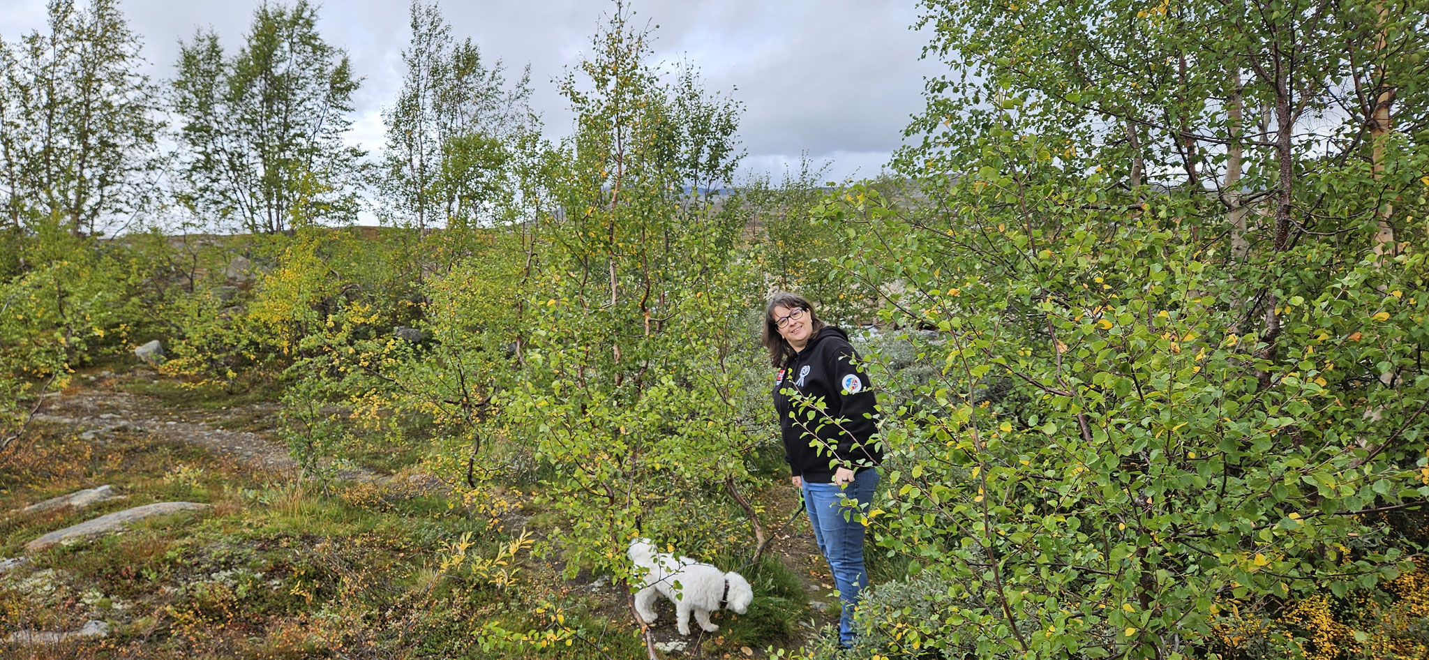 Ein Troll mit Wilson