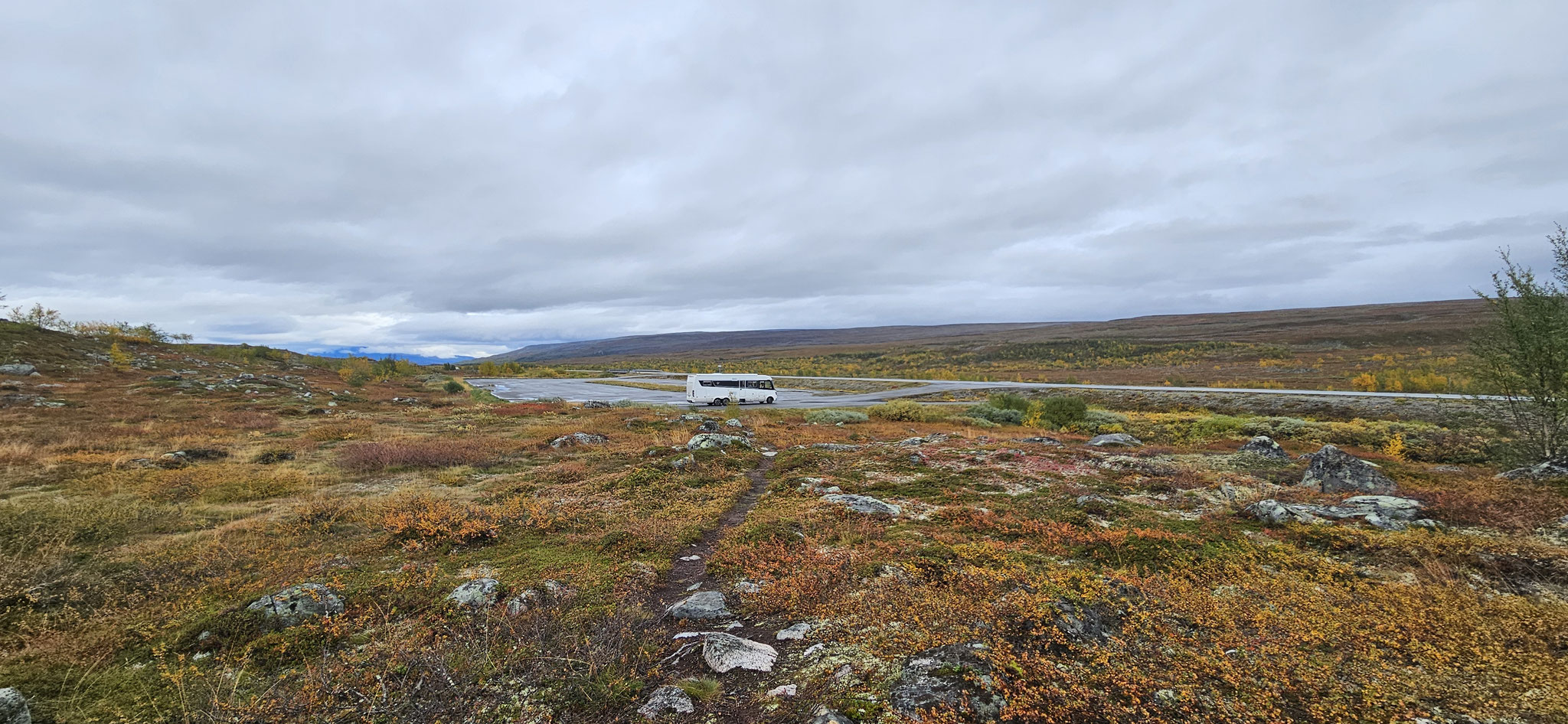 ...und Birken sind einmalig hier oben