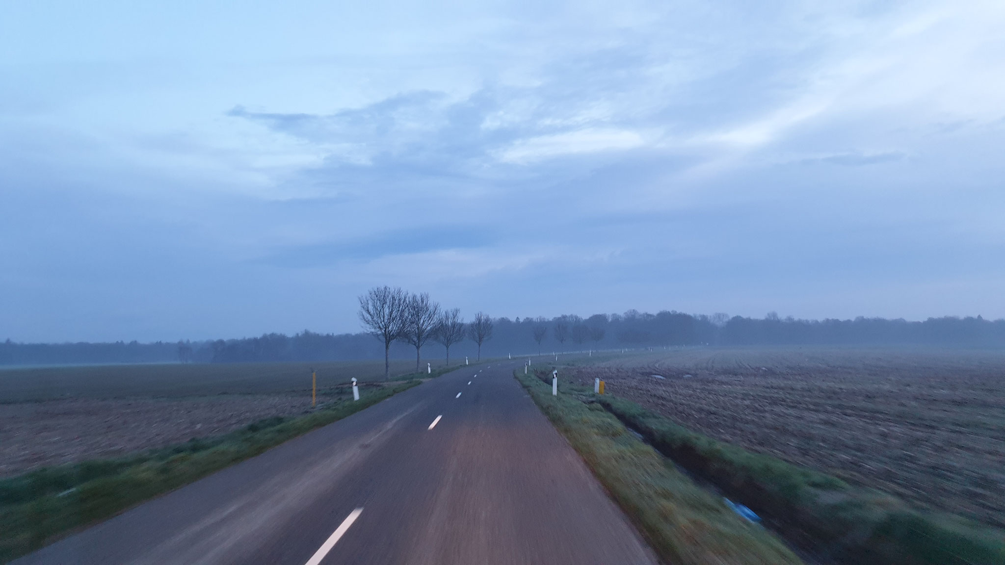 Zum Glück kein Wild auf der Strasse