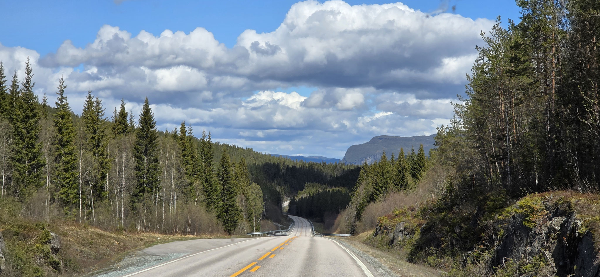 Alleine on the Road