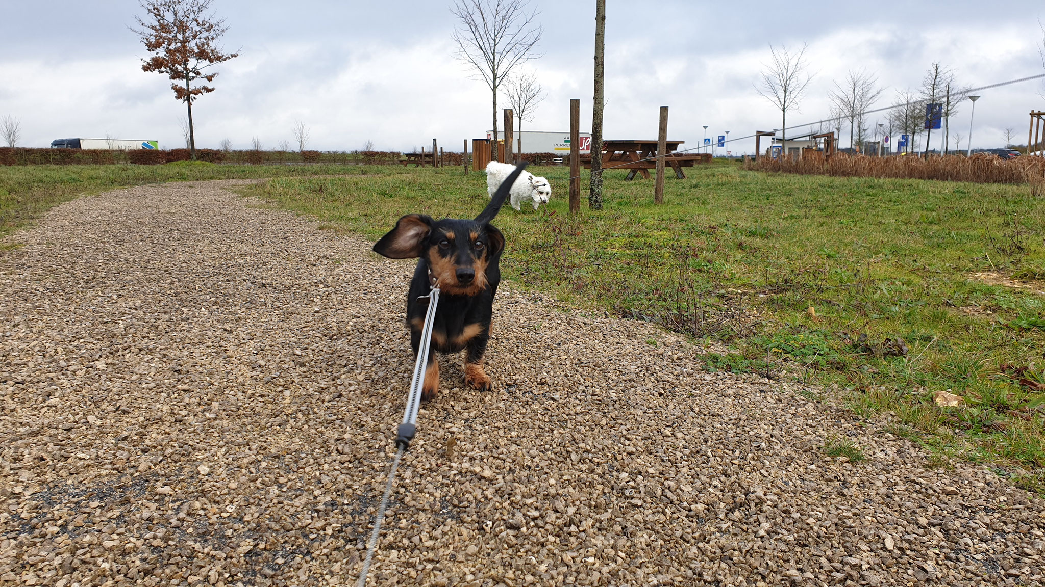...die Jungs haben Spass