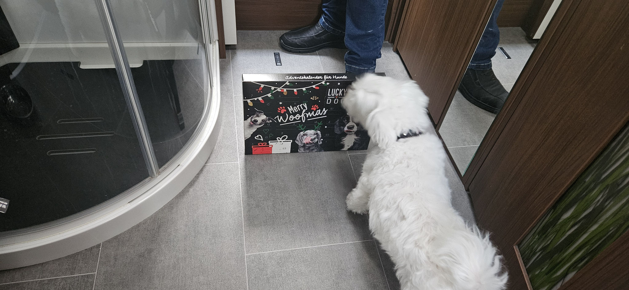 Habt ihr mir da etwas Feines mitgebracht?