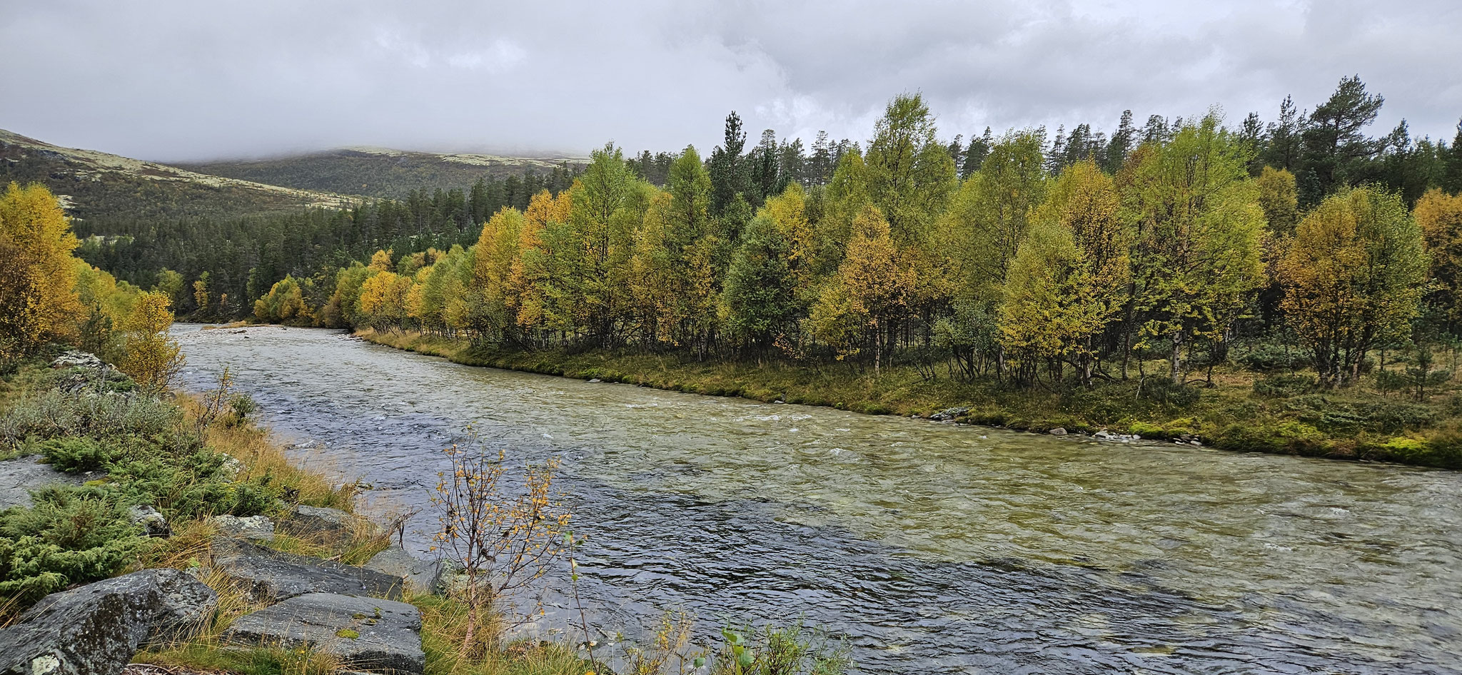 Mal guckt die Sonne ein bisschen hervor...