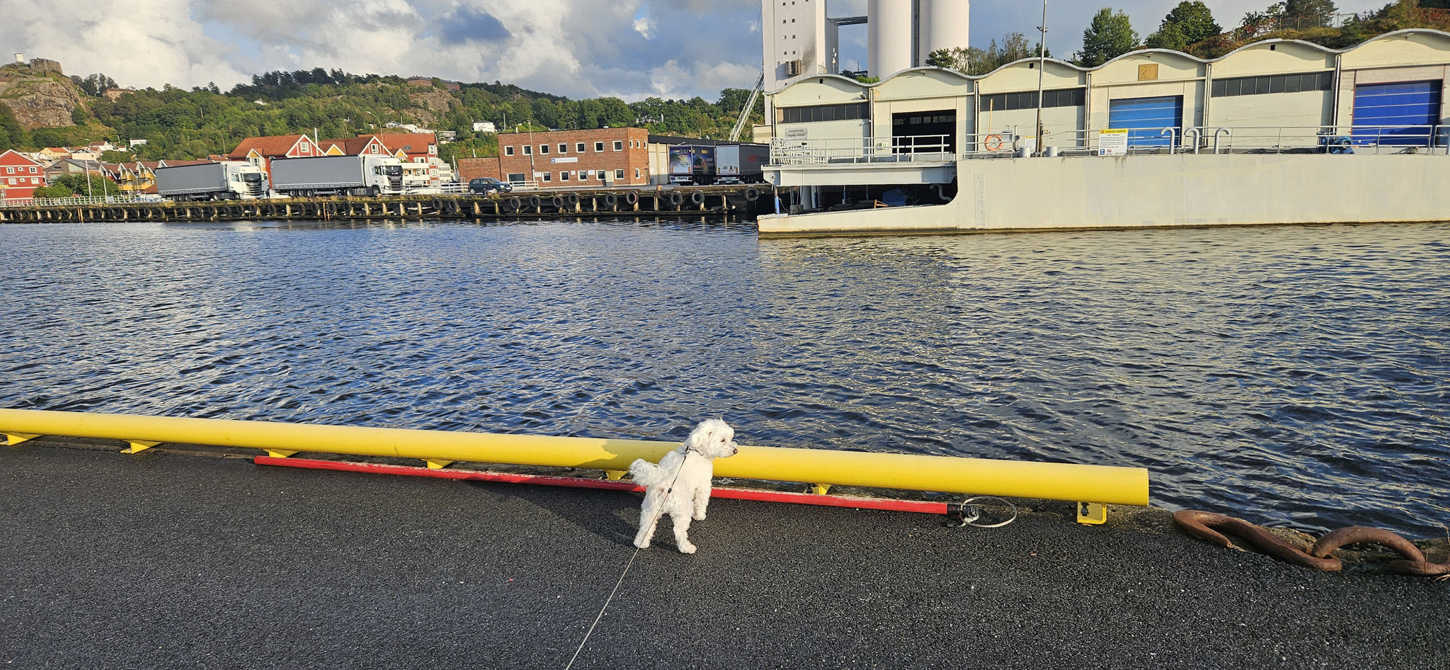 Immer noch keine Enten?
