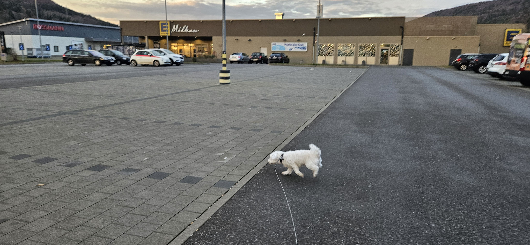 ...Wilson wil auf die Piste