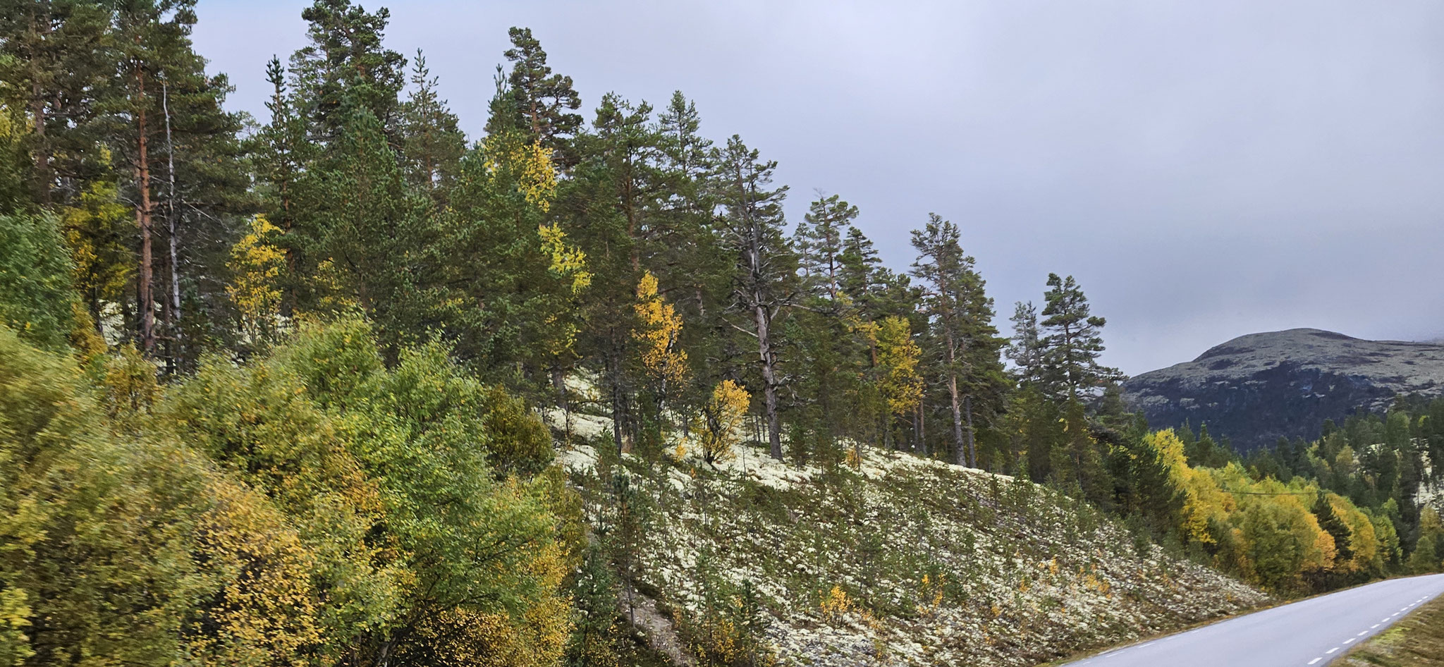 Wir können fast nicht glauben,...
