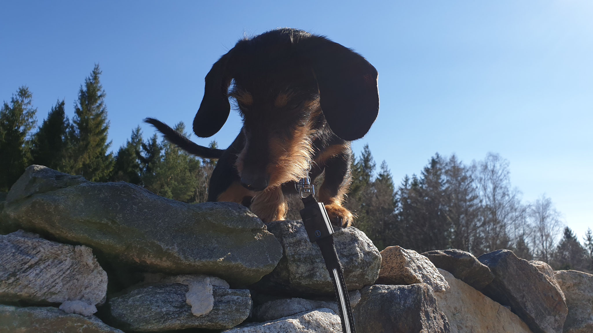 Wie komme ich von der Mauer wieder herunter?