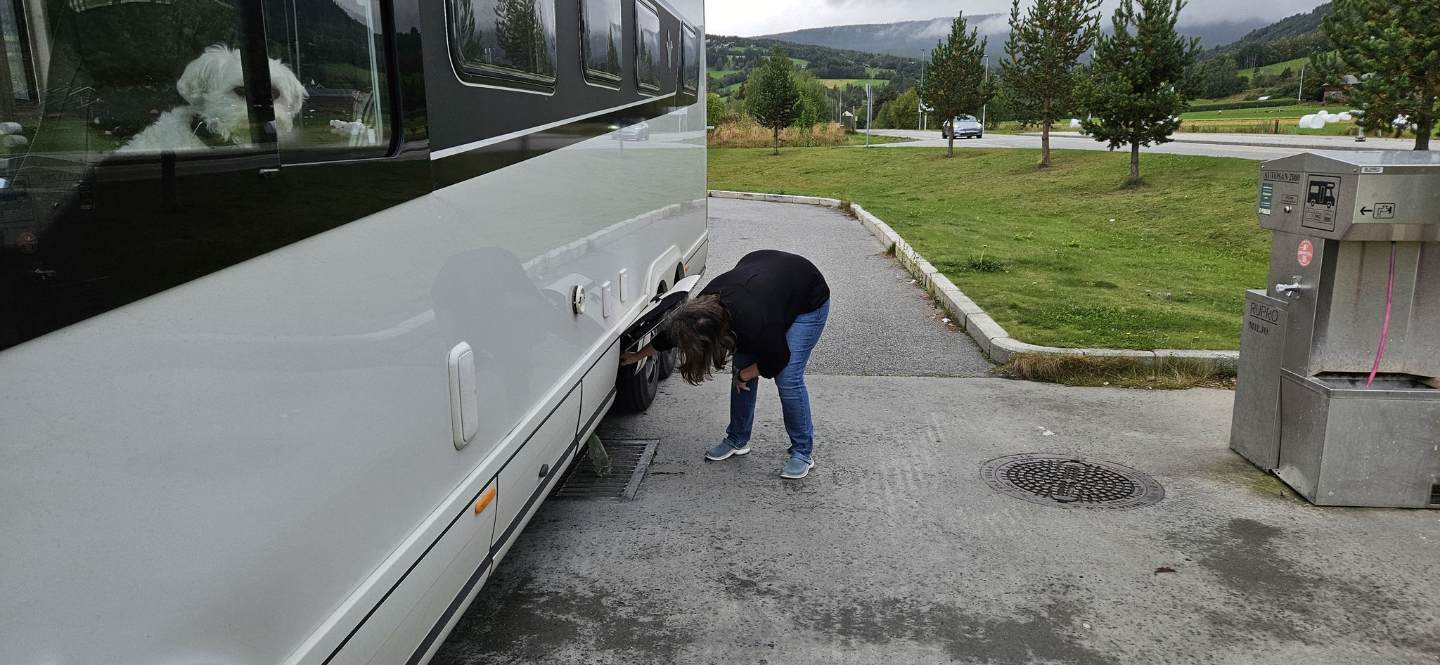 Sanistation gefunden...