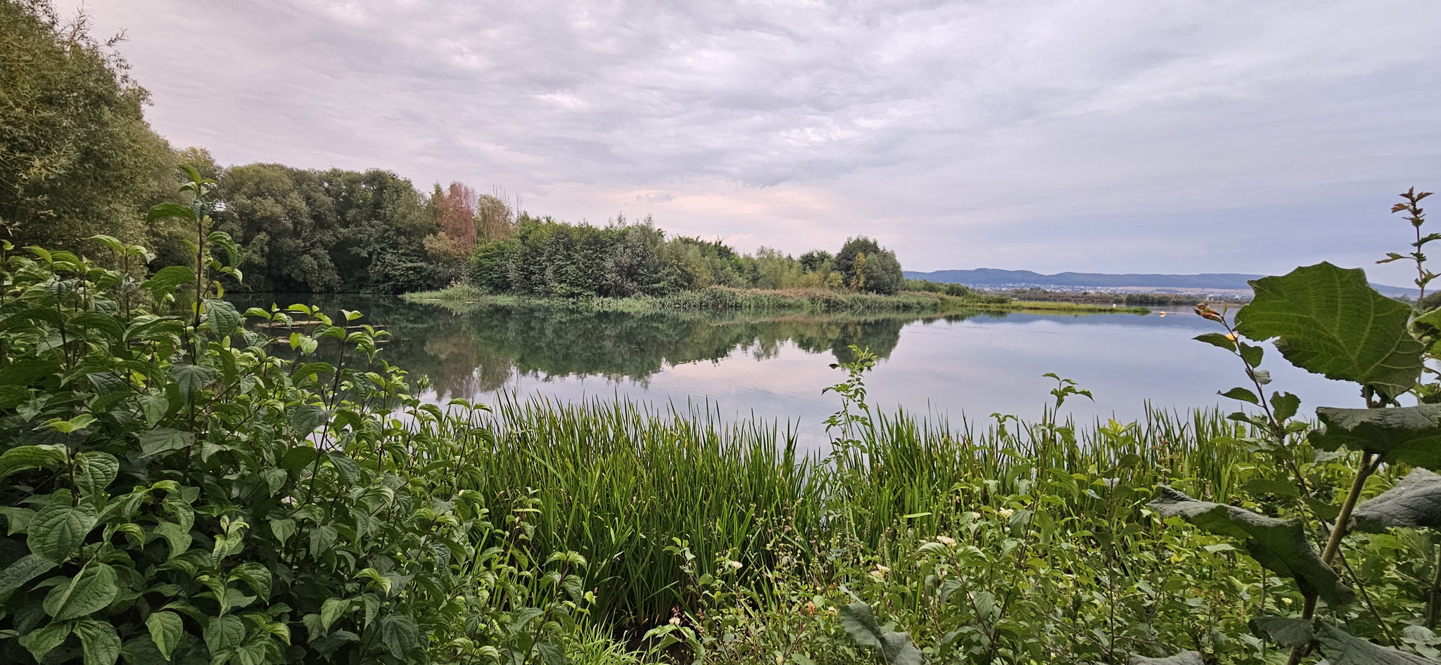 Ist das nicht schön?