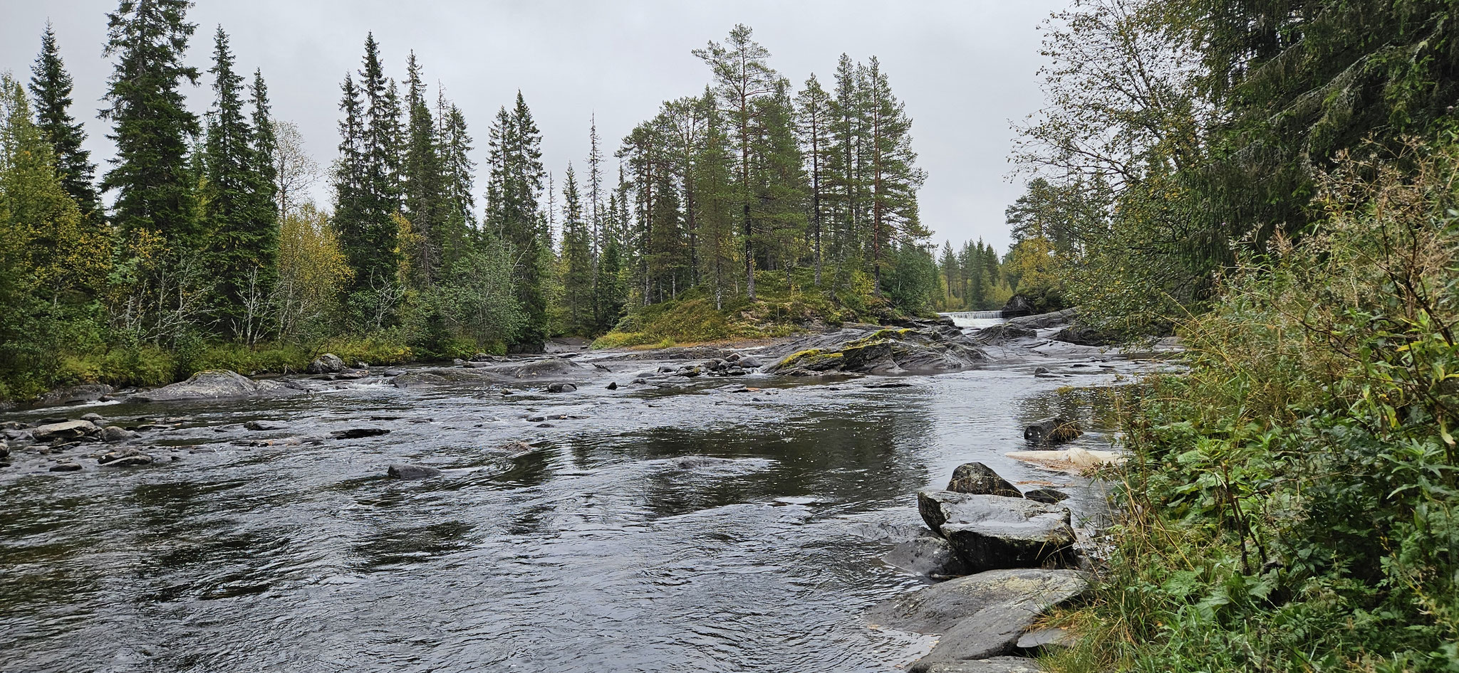 ...und über uns grinsen
