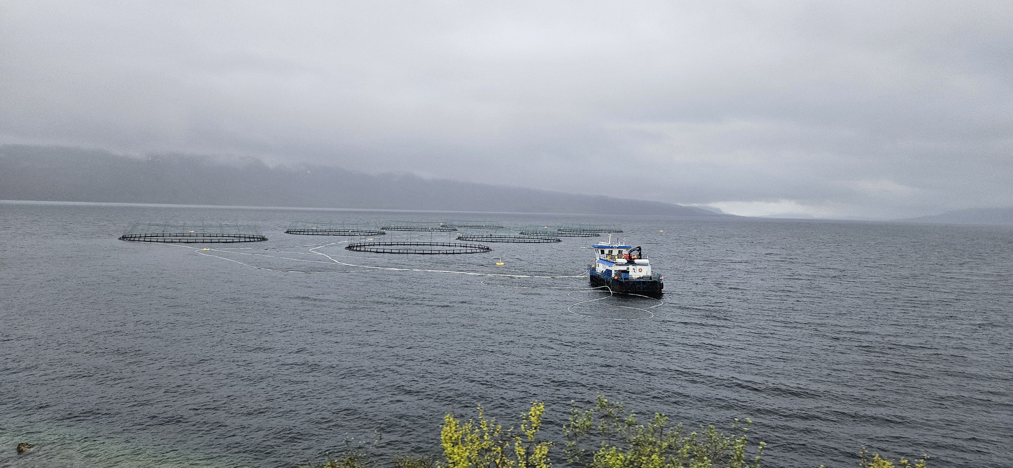 ...und Fischfarmen - was es nicht alles auf dem Wasser gibt