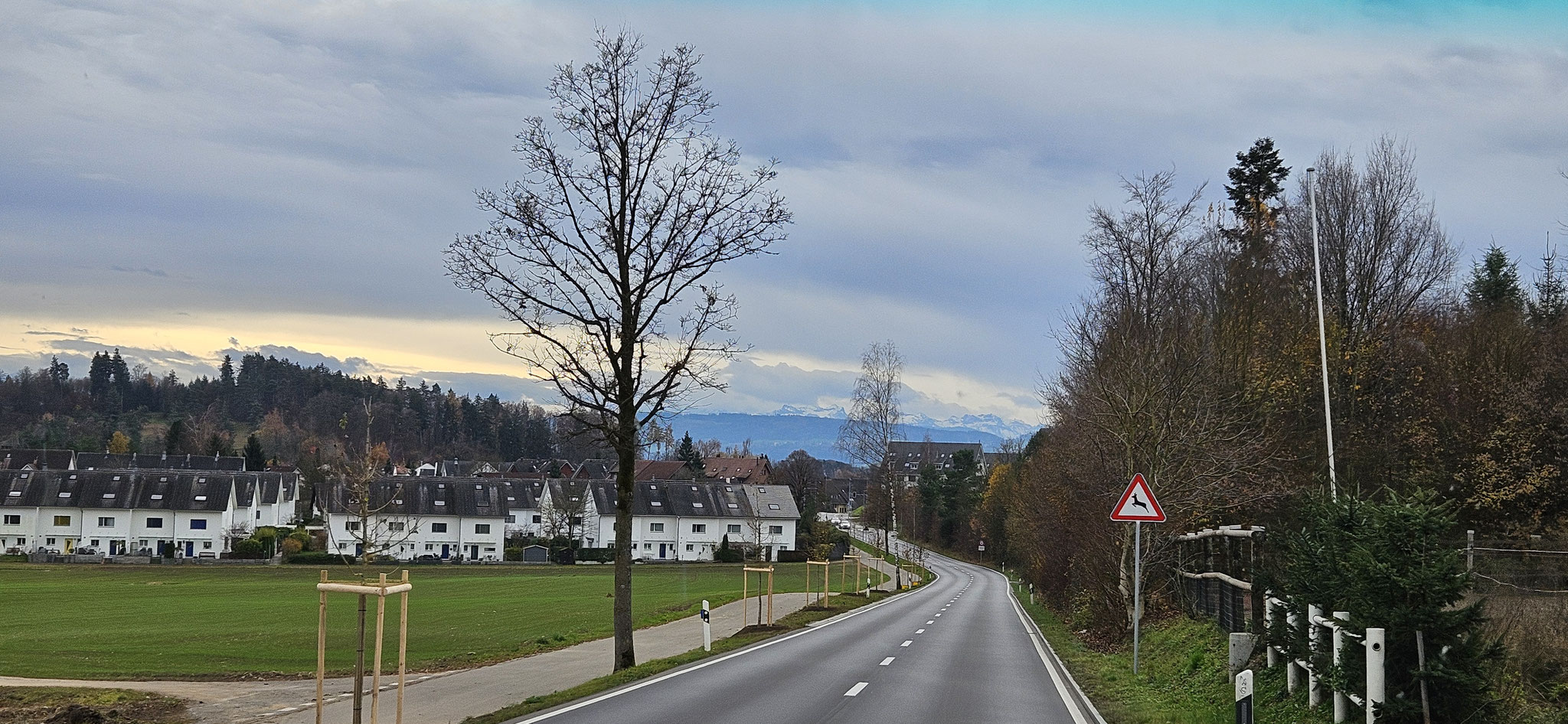 Ob wir doch noch die Sonne sehen?