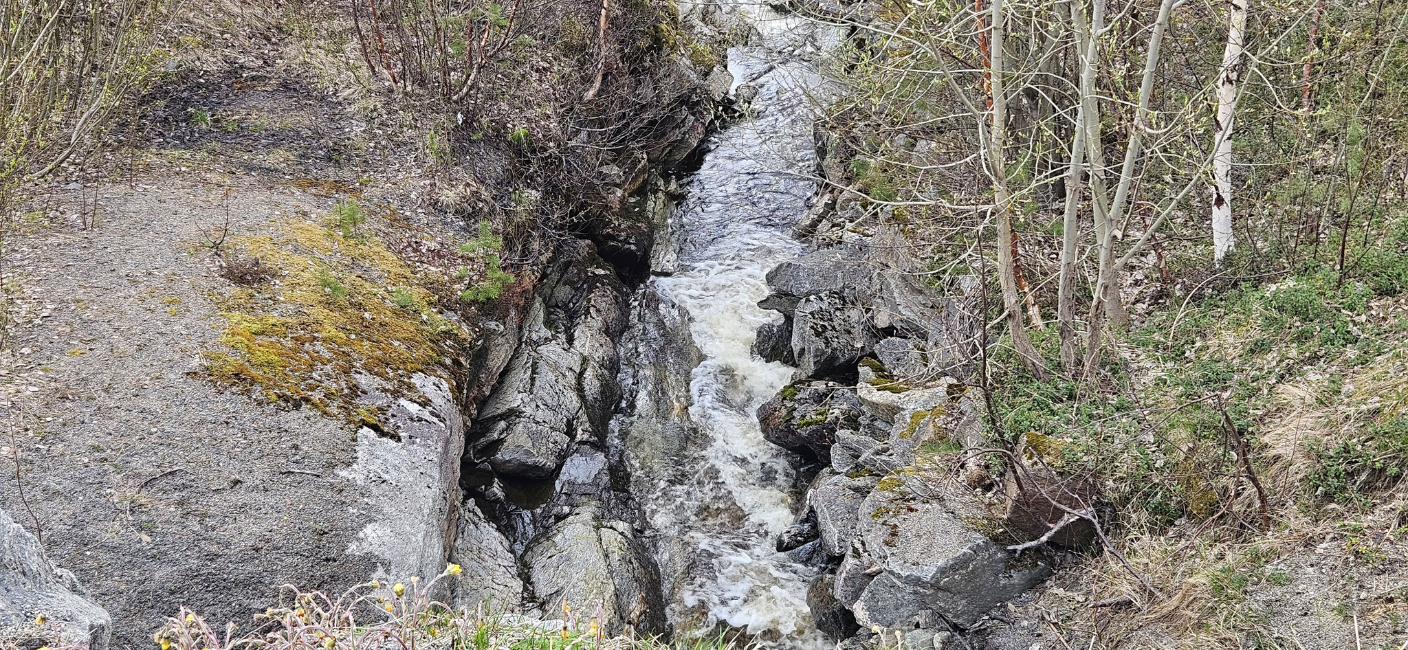 In jeder Form ist die Natur einmalig