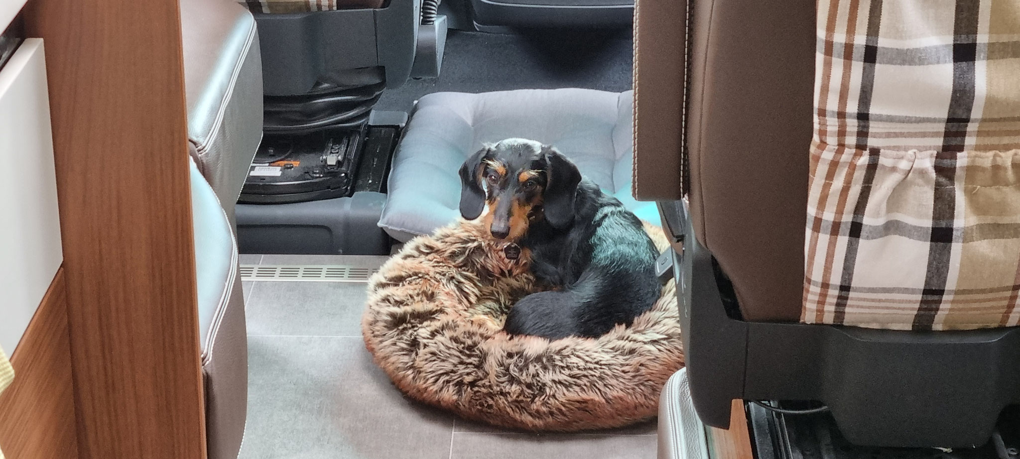 Wohin fahren wir jetzt?