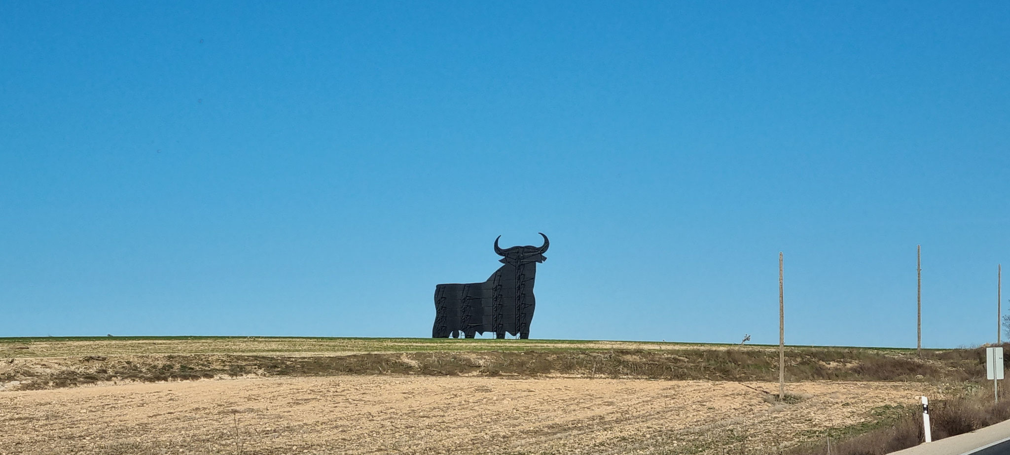 Der erste Torro auf dieser Reise