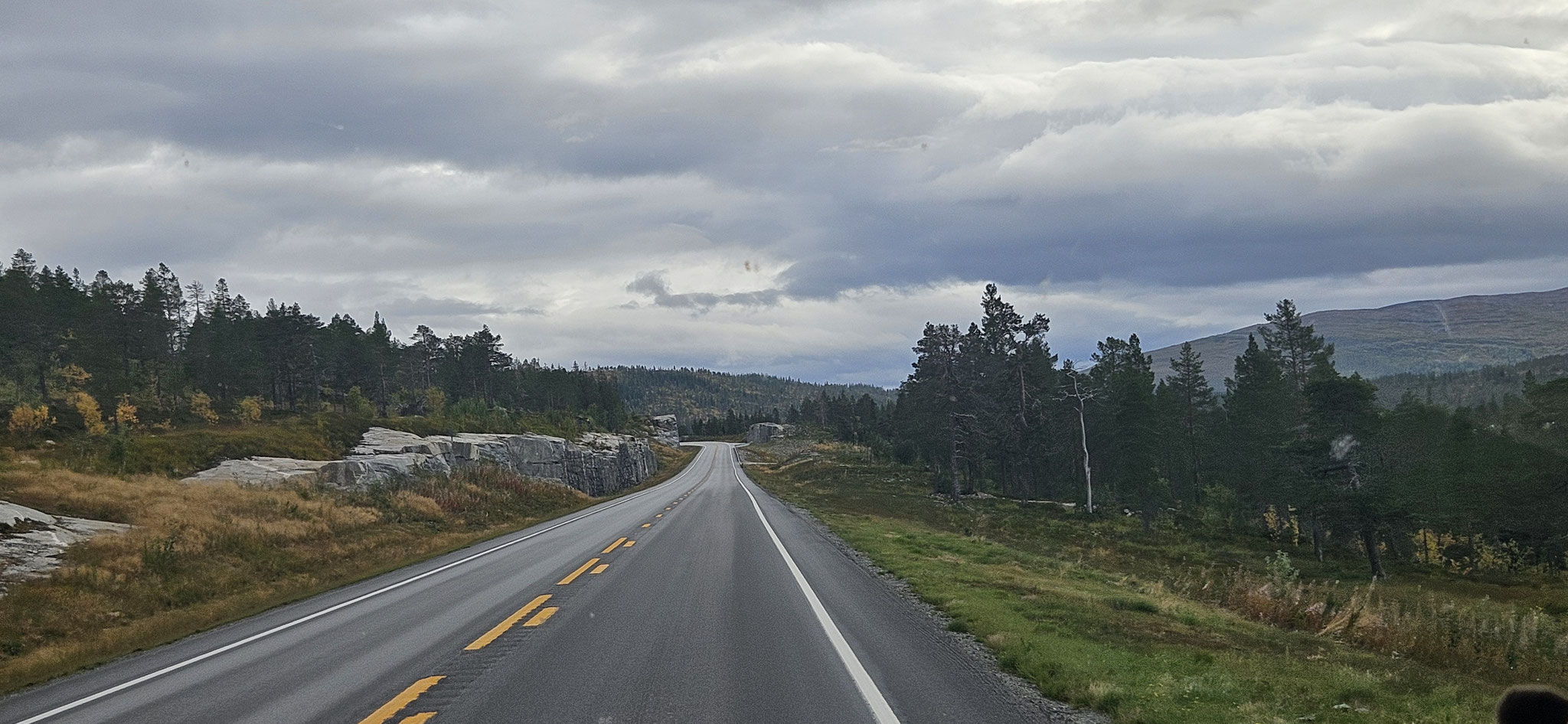 Wir kommen gut voran...