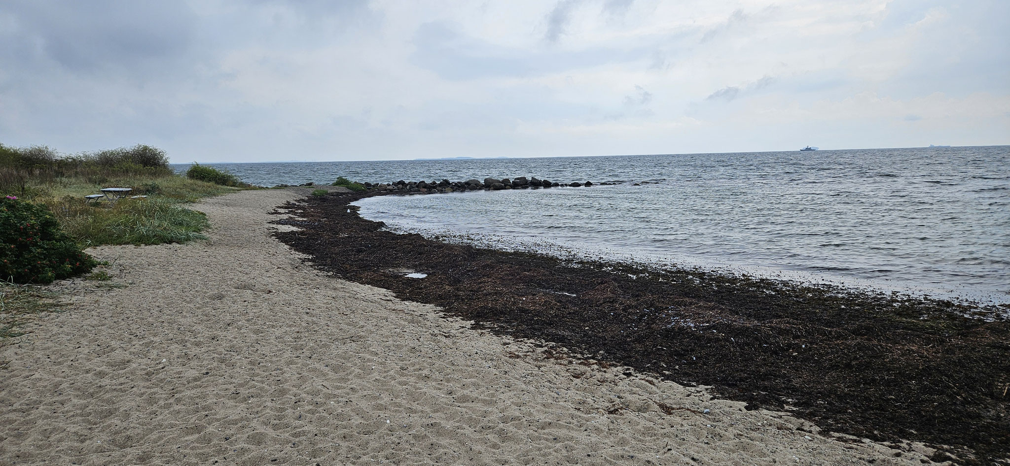Schnell noch an den Strand...