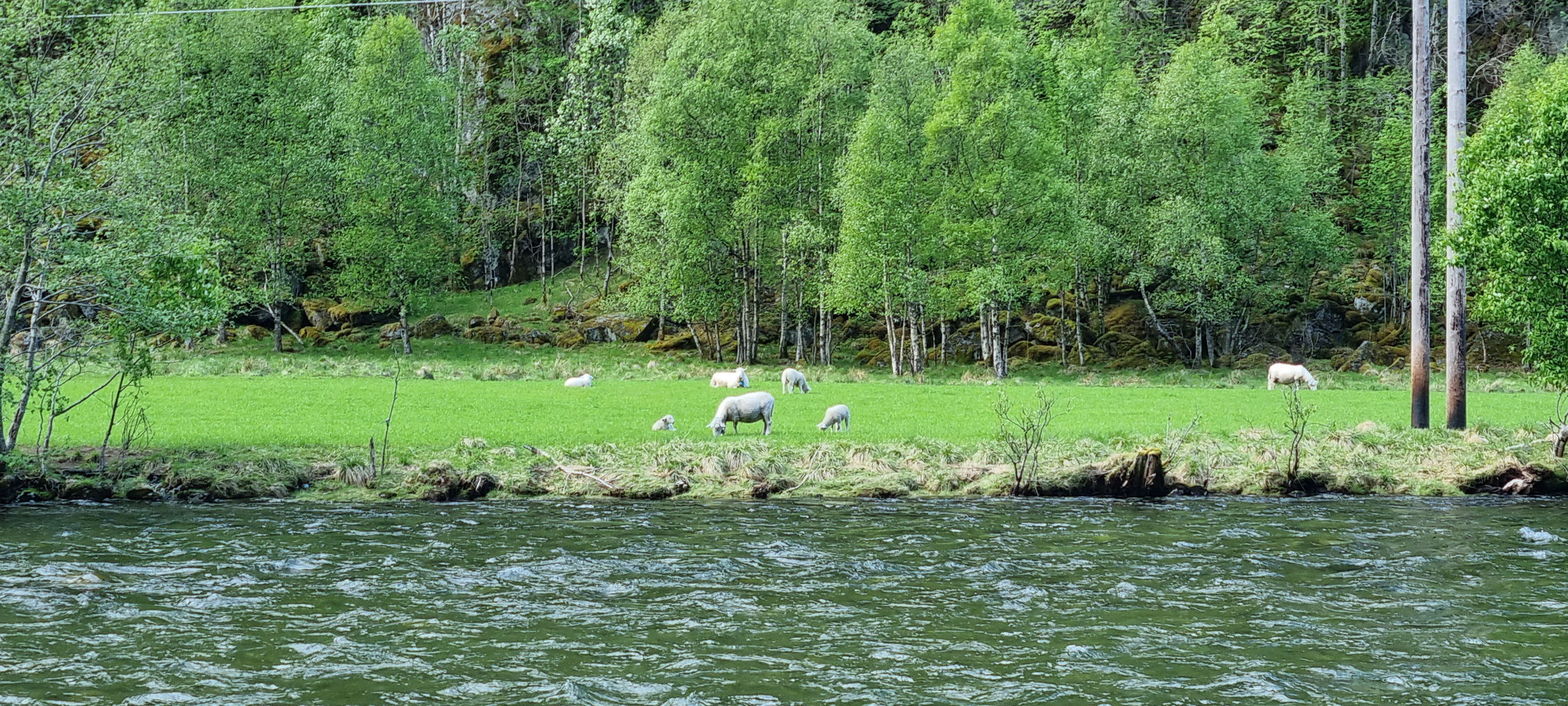 Fast schon wie in Schottland