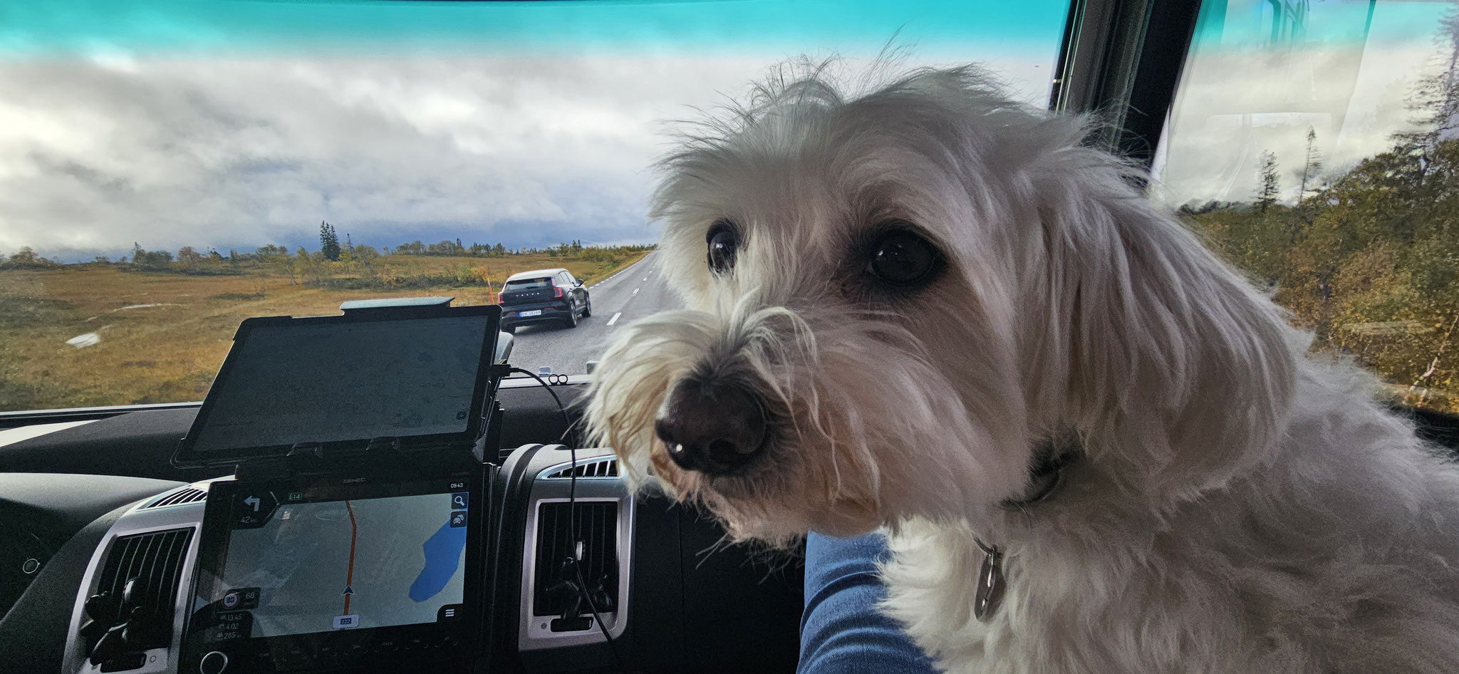 Wer es eilig hat, soll überholen - sagt Wilson