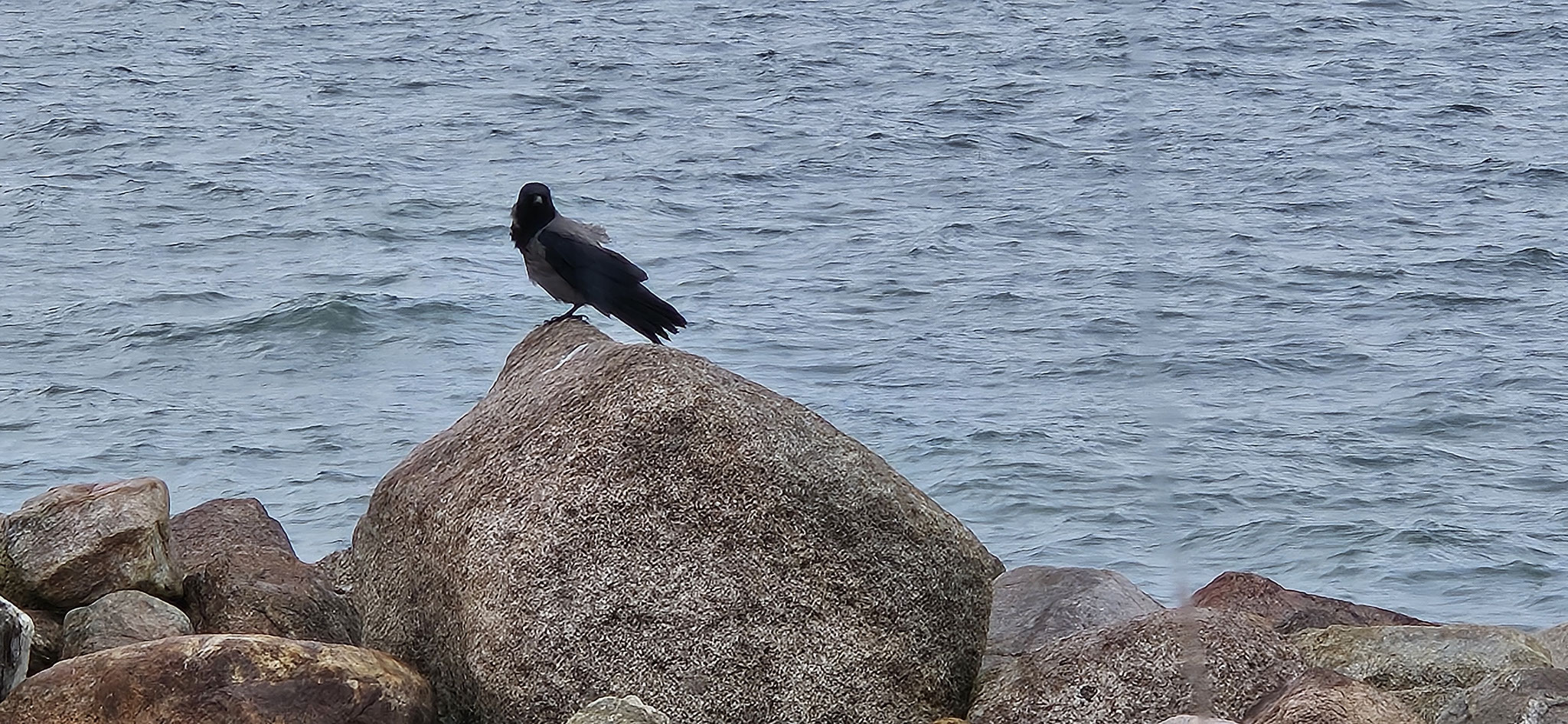 Spion vor dem WoMo