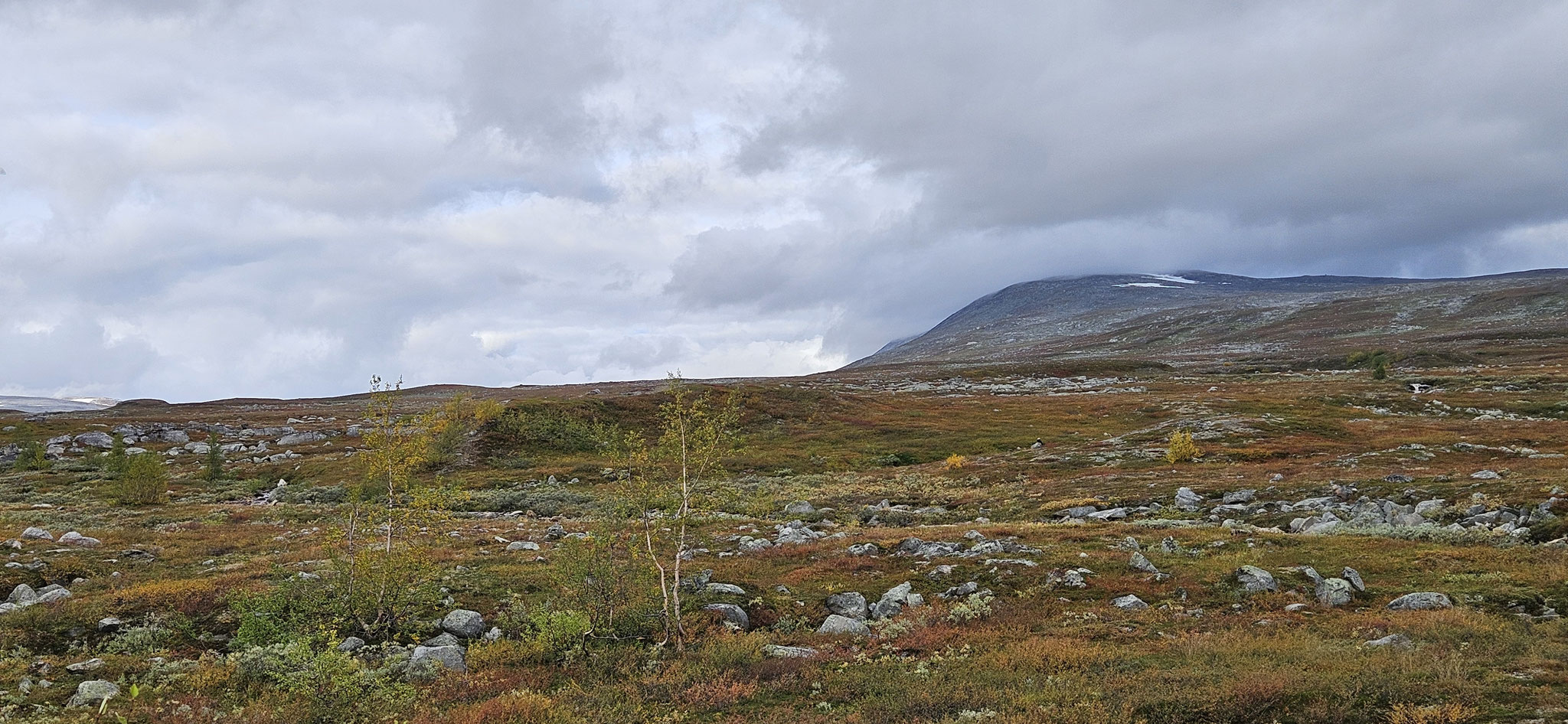 ...gefallen uns besonders gut