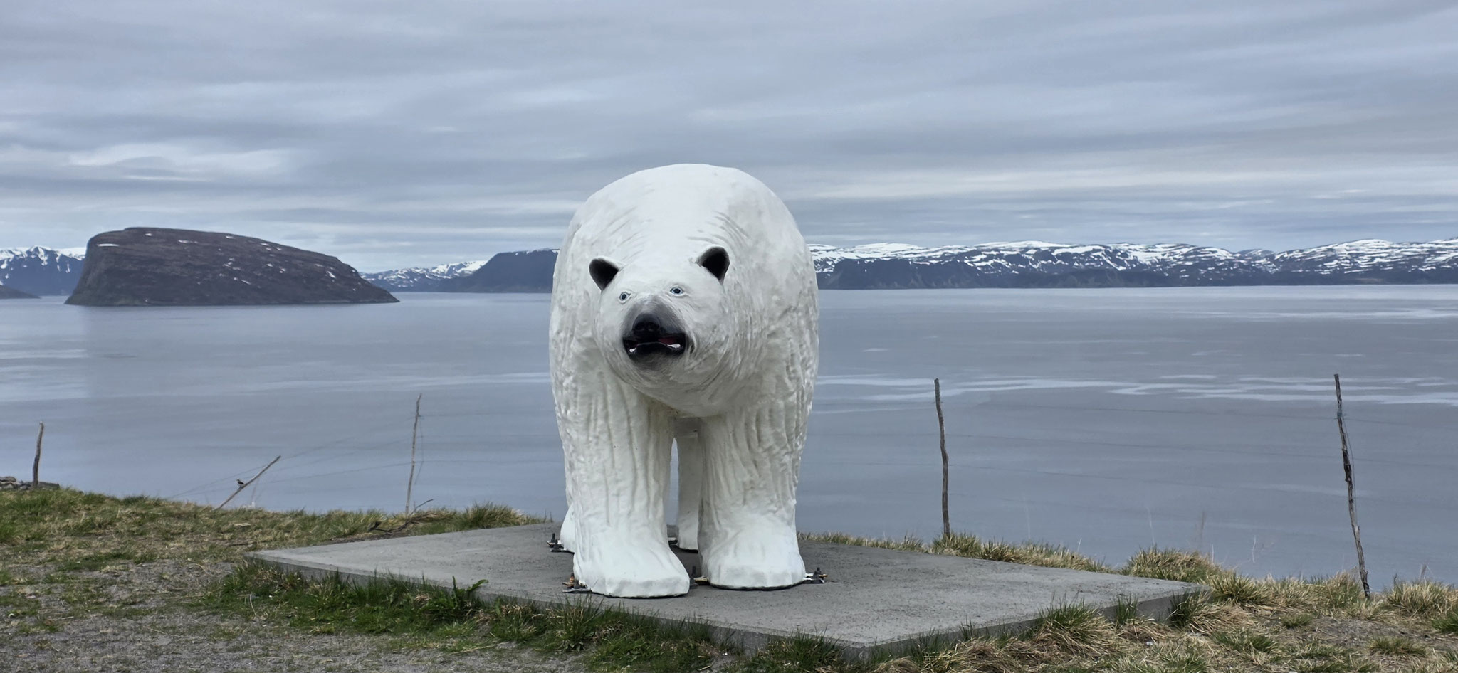 Tschüüüss Isbjørn von Hammerfest