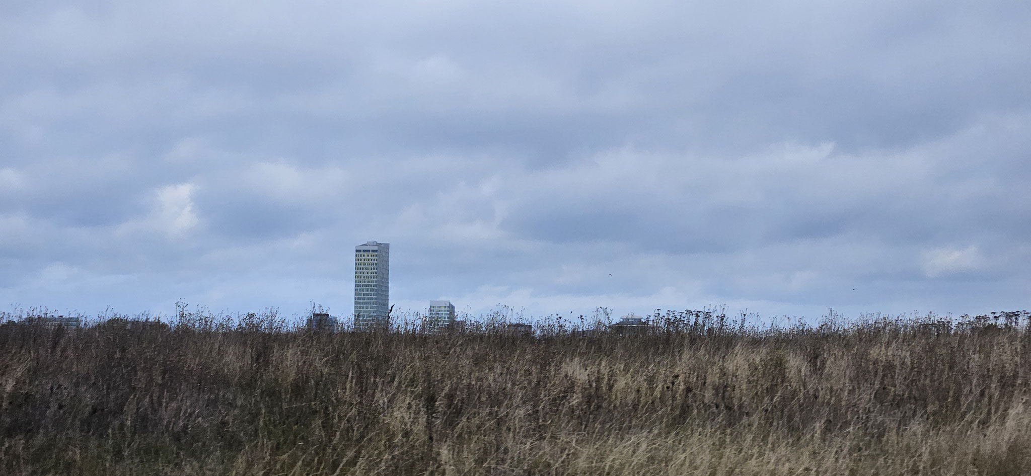 Hochhäuser hinterm Strand