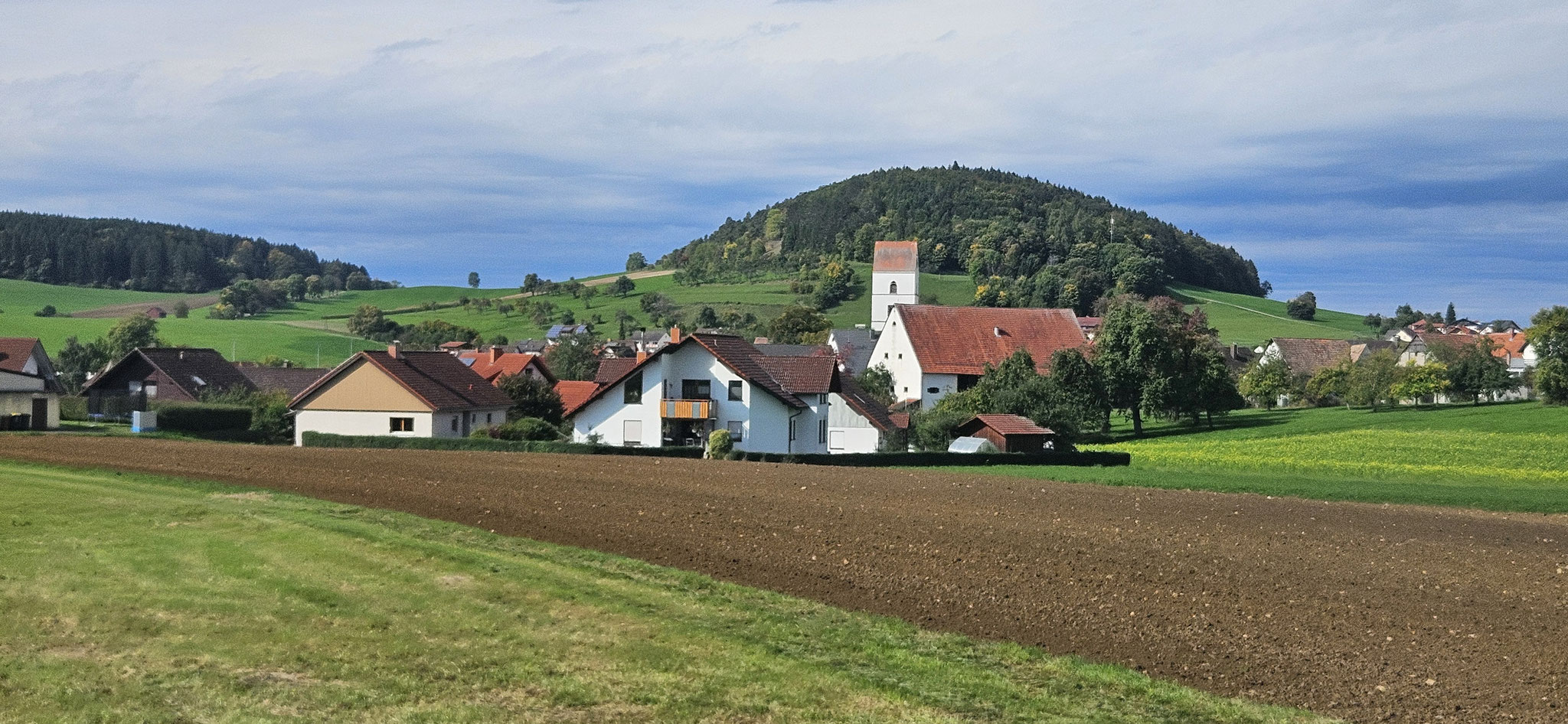 Postkarten-Panorama Region Geisingen