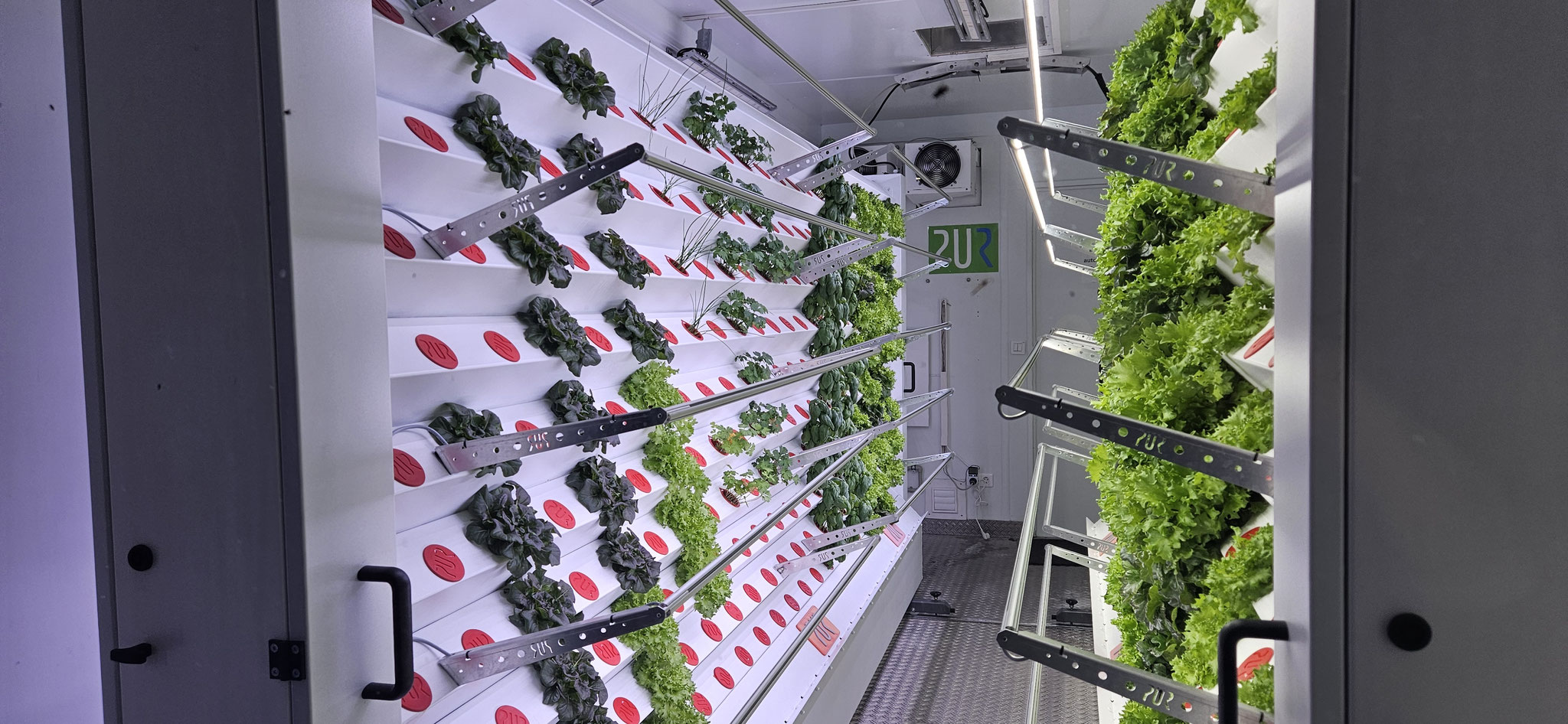 Das ist echt spannend! Wir informieren uns...