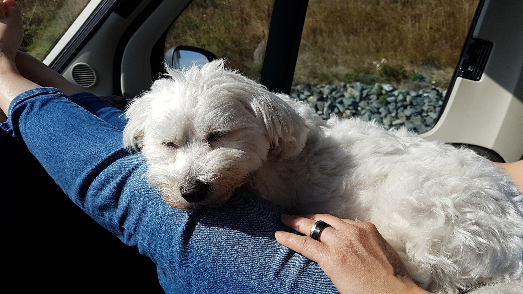 Wilson hat ein Plätzchen an der Sonne