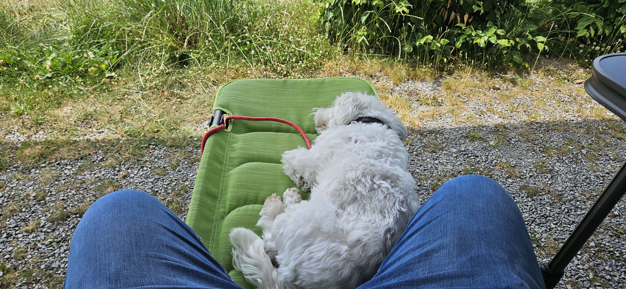 Heute ist chillen angesagt...