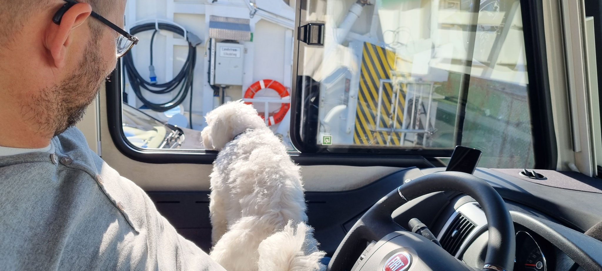 Wilson liebt die Fährfahrt - Olly weniger