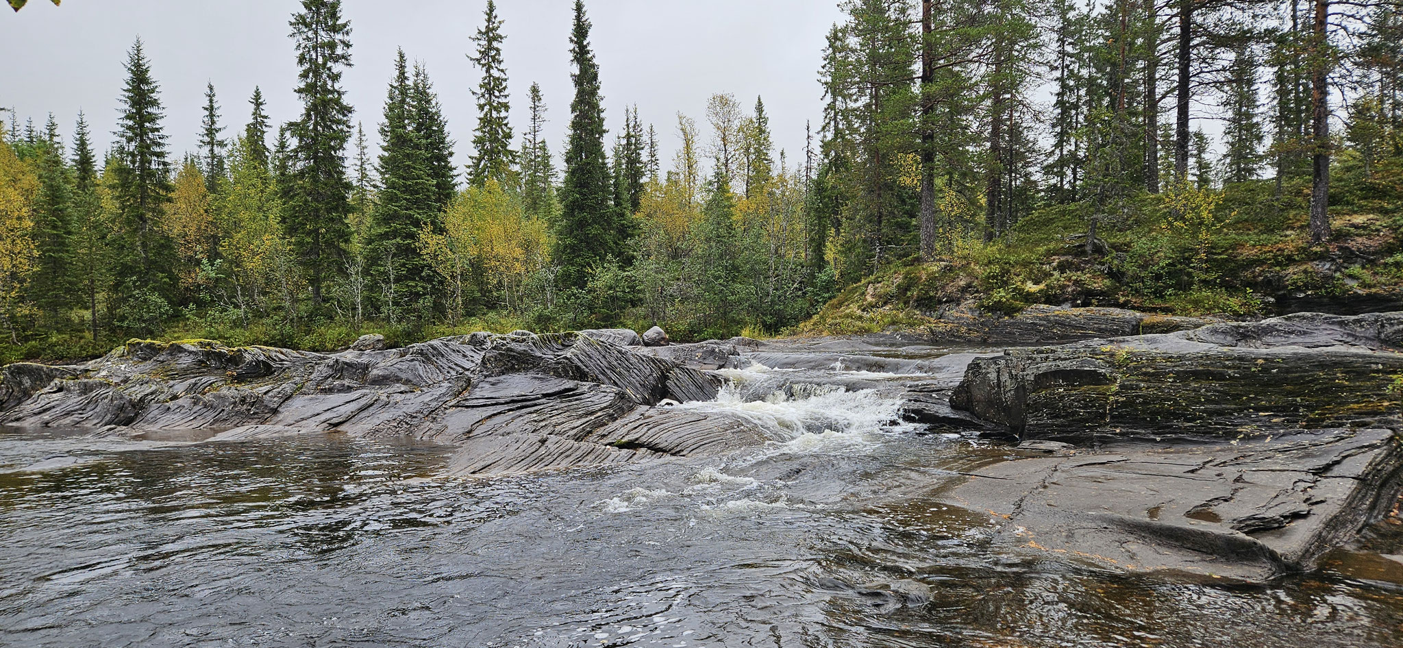 Hier hat es ganz bestimmt...