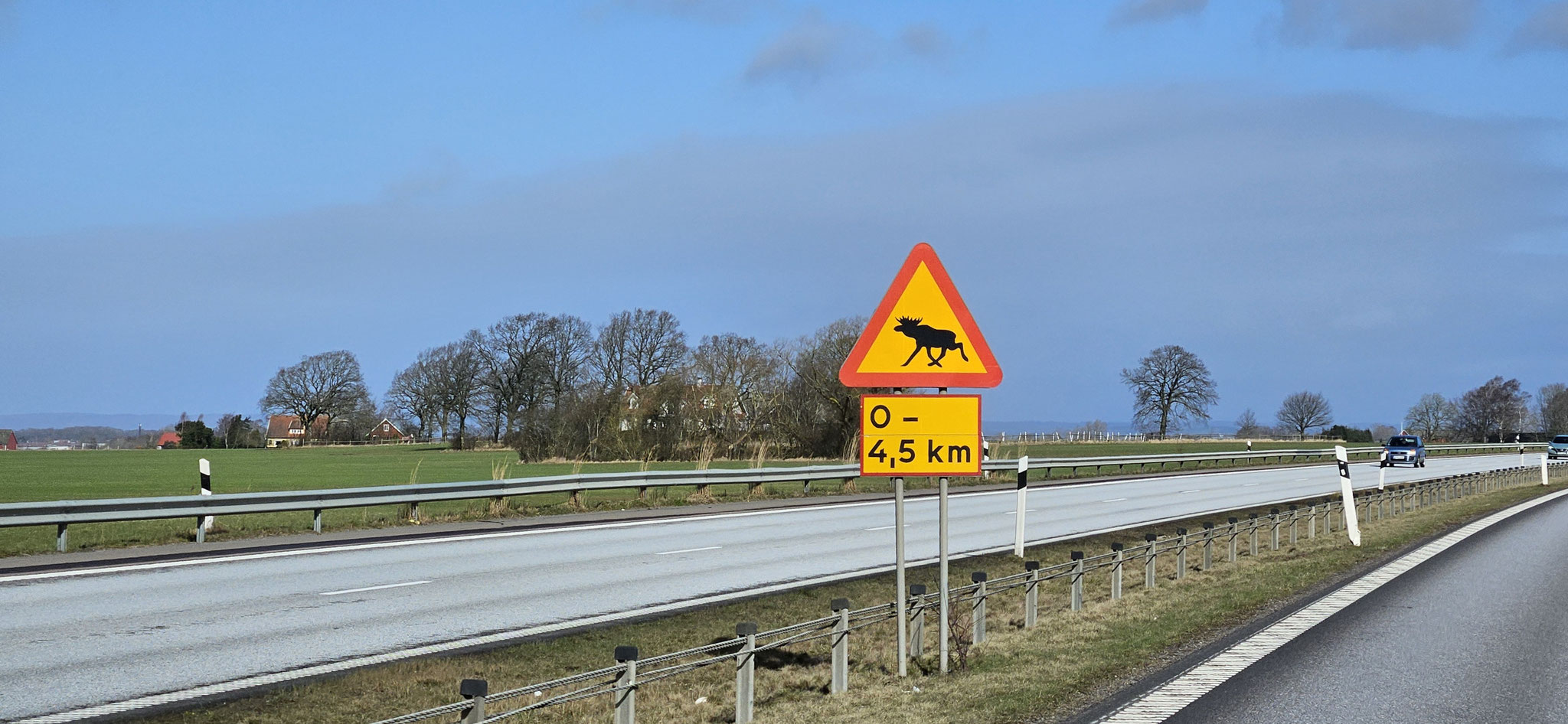 Die erste Elch-Tafel in Skandinavien