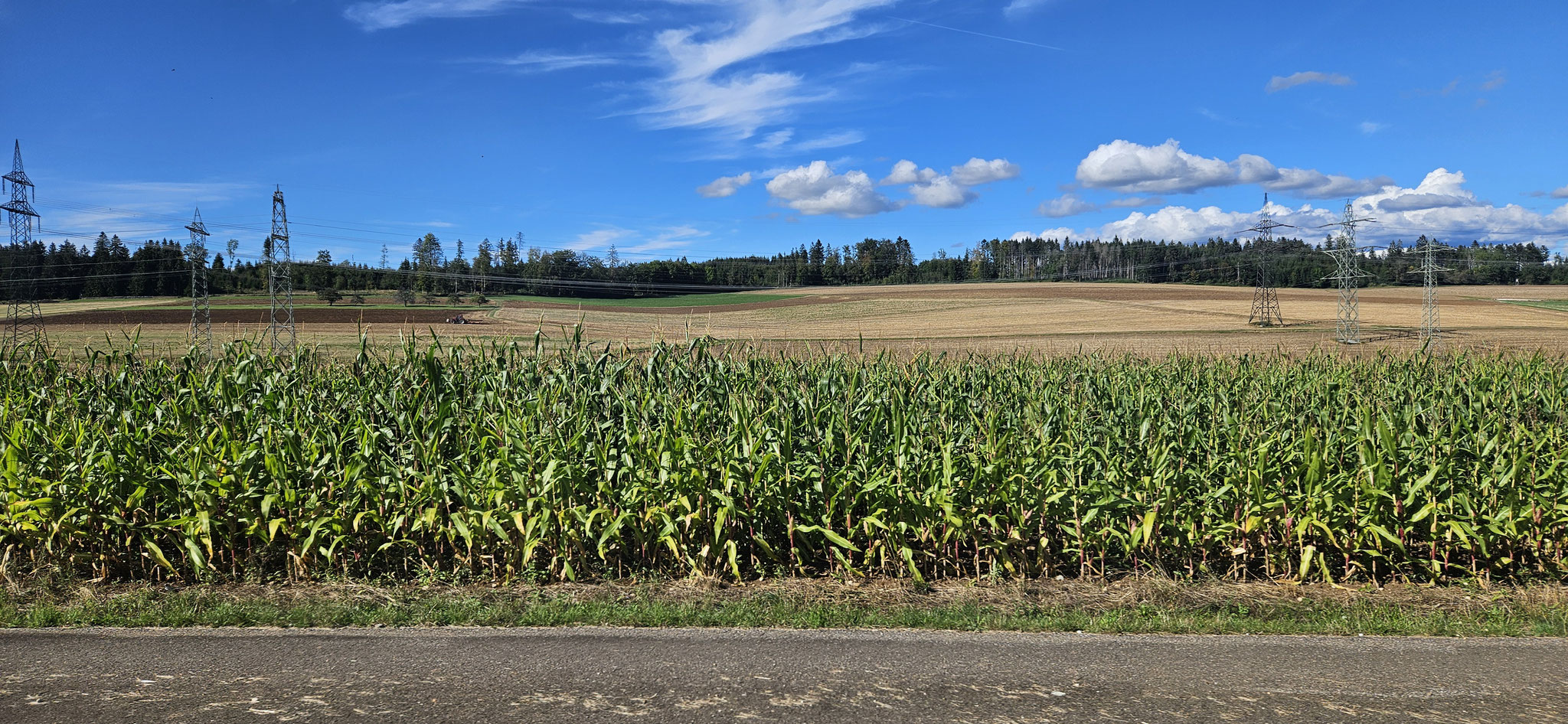 ...weiter nach Blumberg