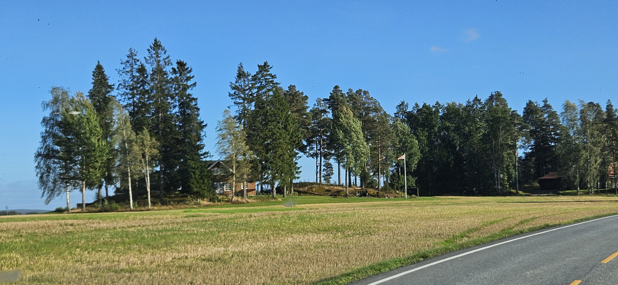 ...und viel zu sehen gibt