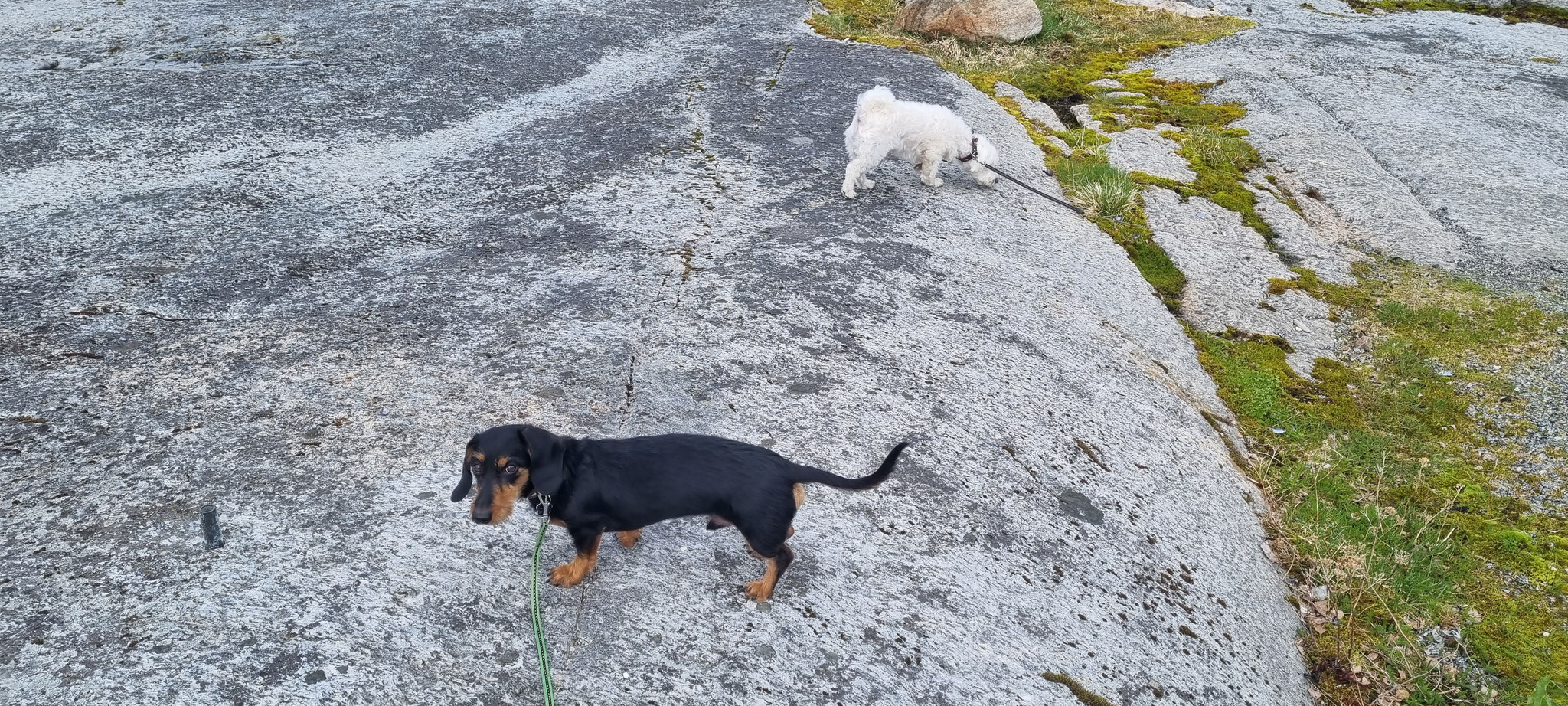 Die Jungs wieder auf Entdeckungstour