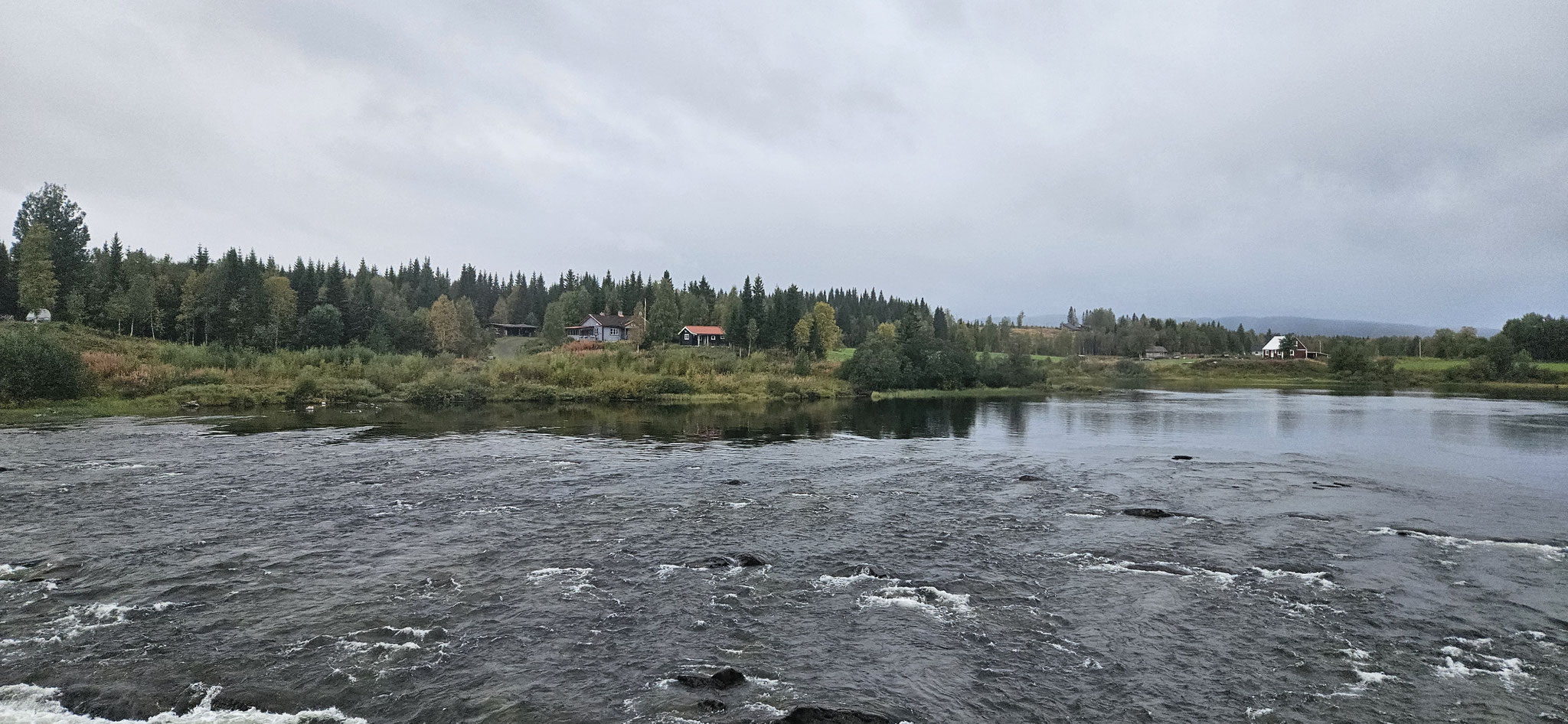 Natur pur auch in Schweden