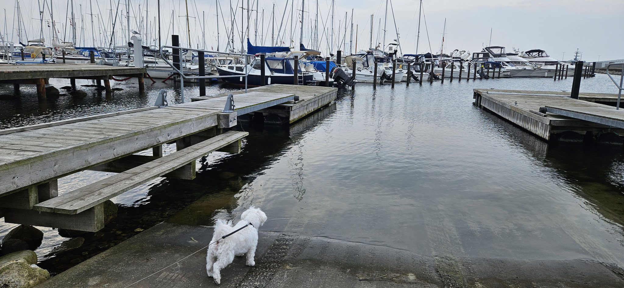 Wilson auf Entdeckungstour...