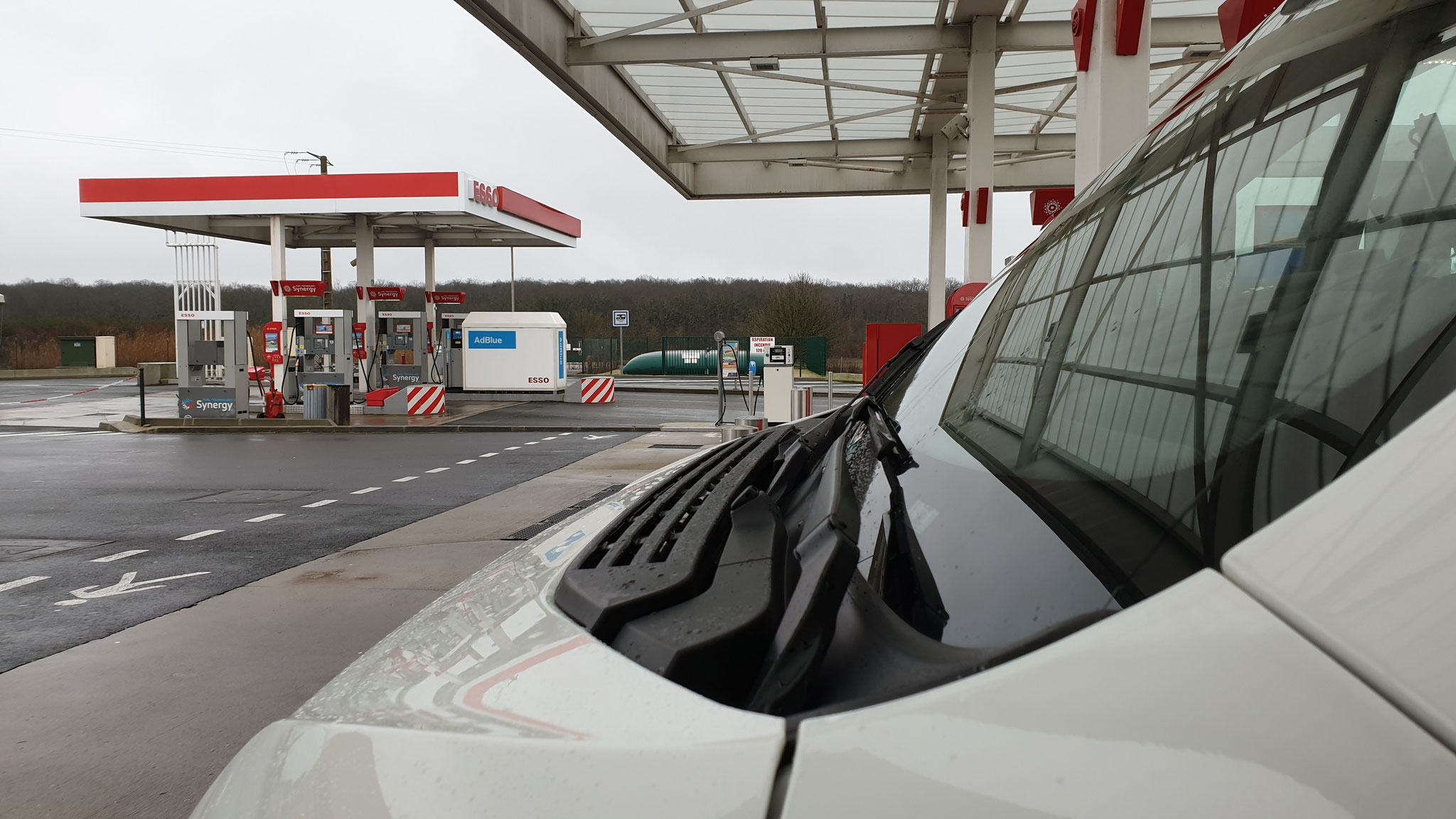 Jelly glänzt aber eigentlich geht es um die Sanistation im Hintergrund