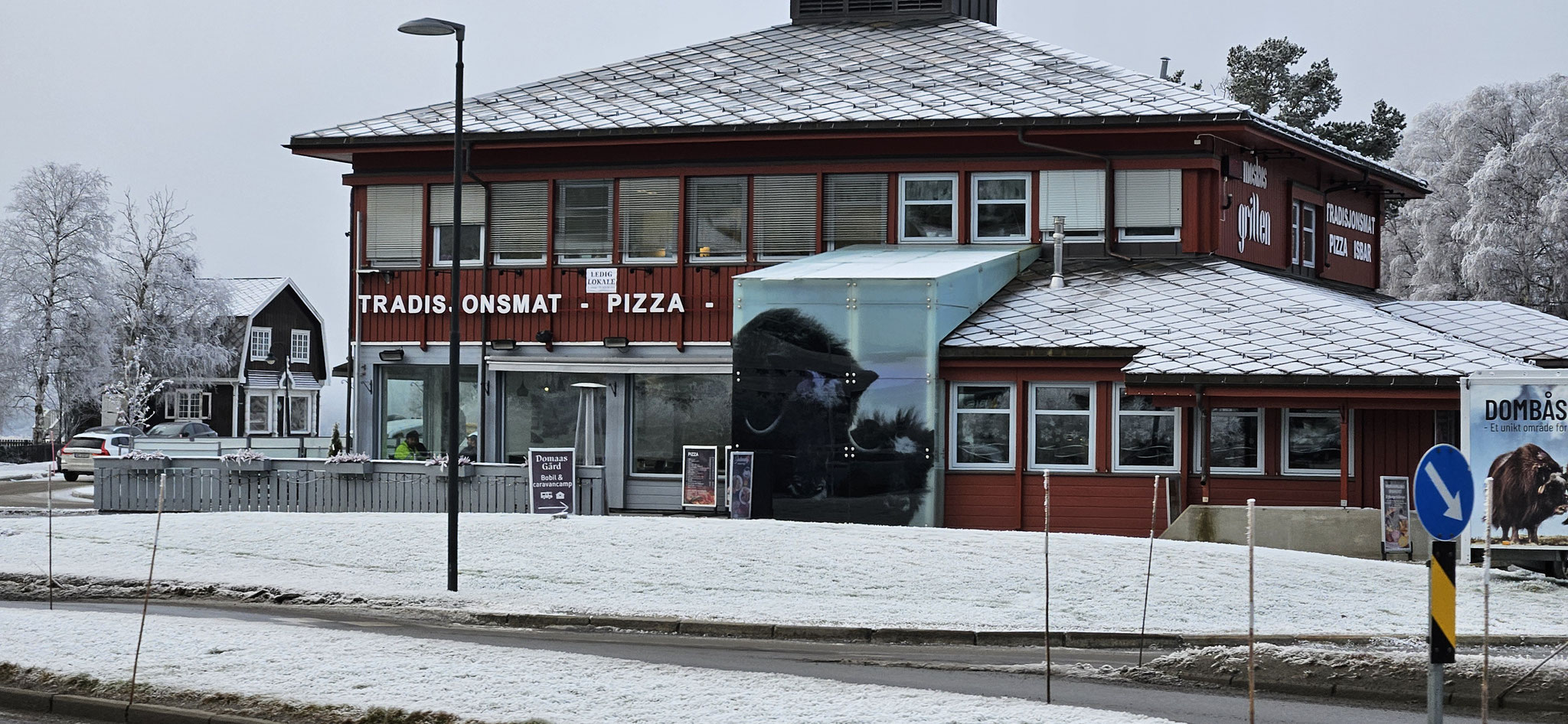 Die Moschusochsen von Dombås...
