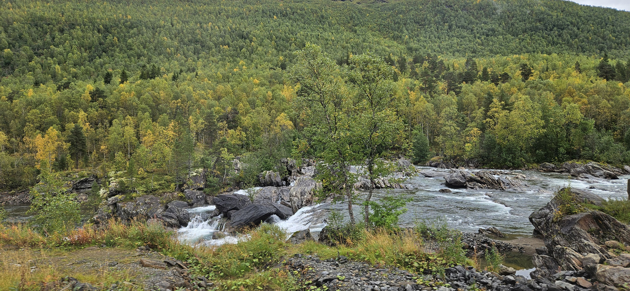 ...der Fluss immer neben uns