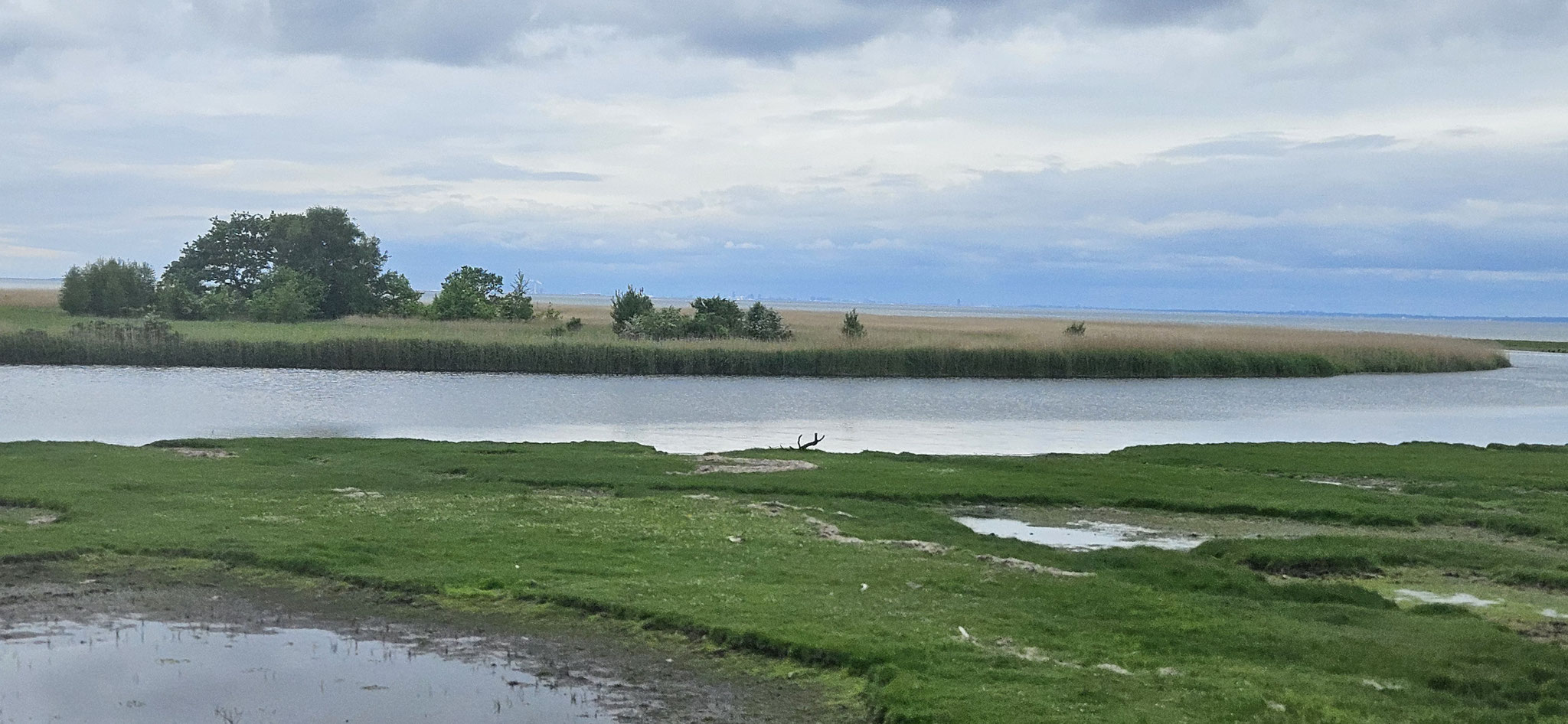 ...Wildgänse und andere Vögel können wir überall sehen