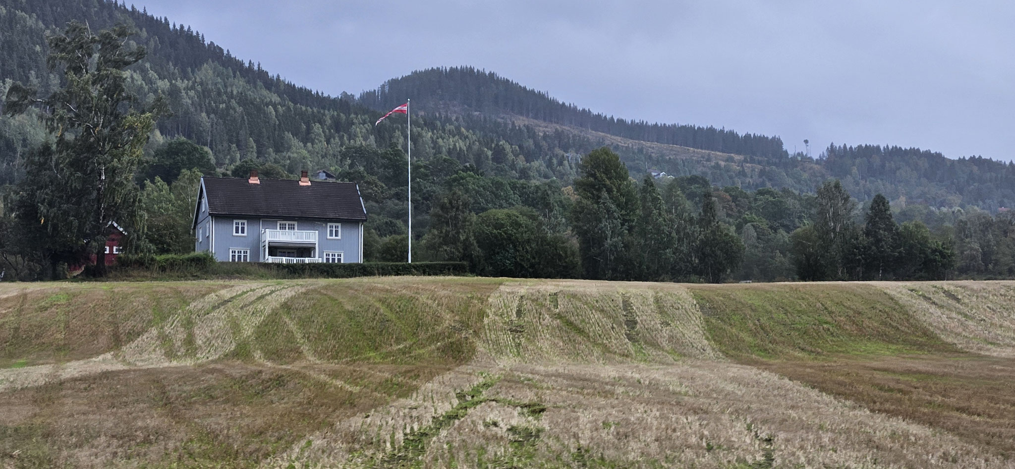 ...und zum Glück auch schon wieder vorbei