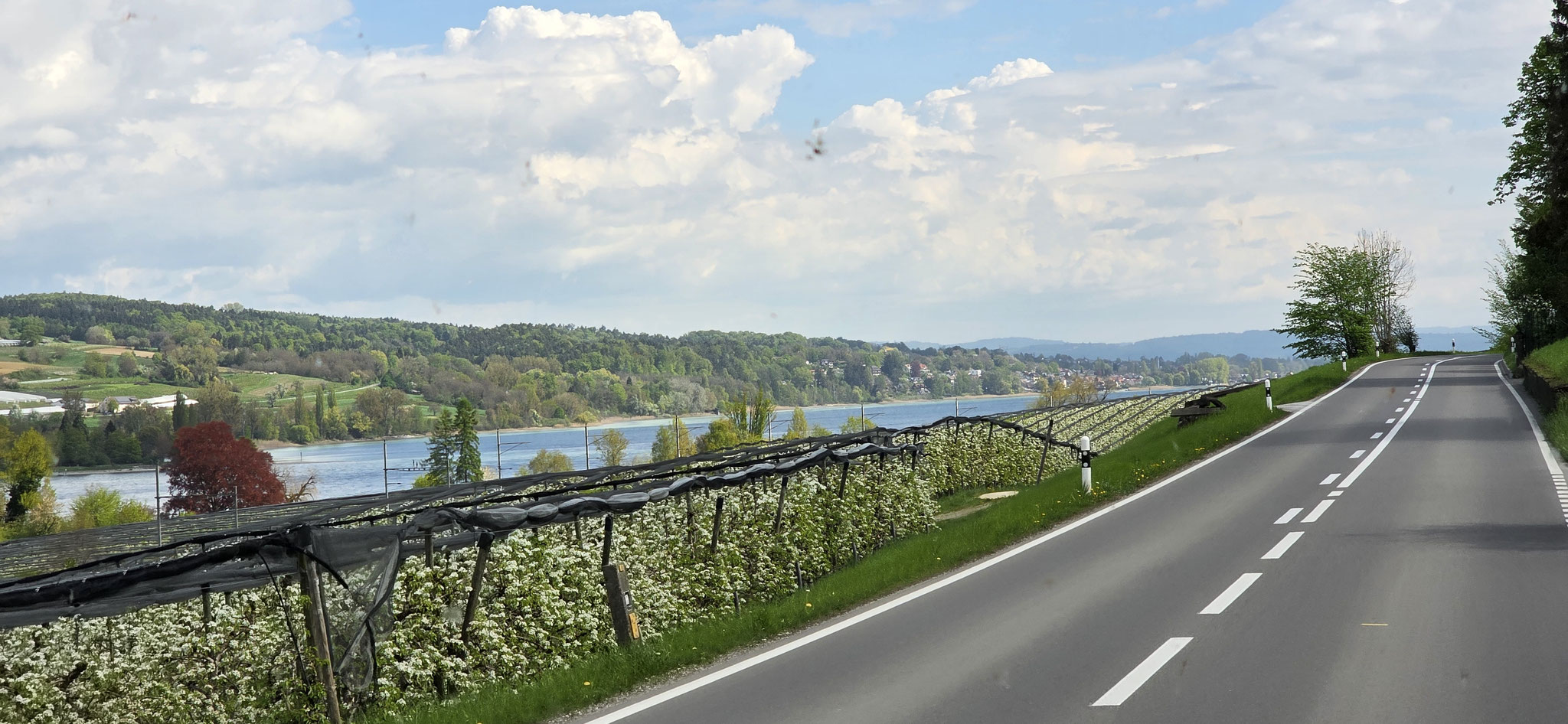 ...wunderschön am Untersee