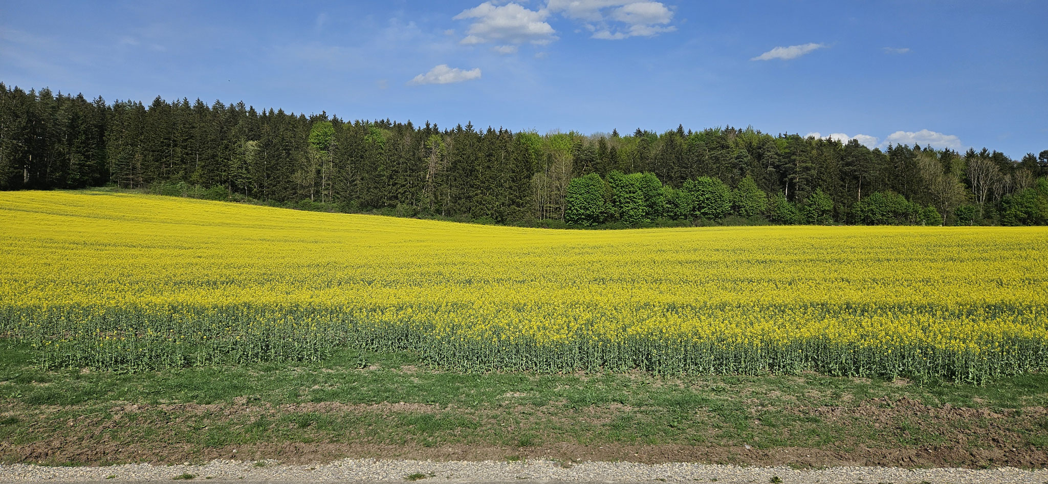 ...und weiter nach Dietingen