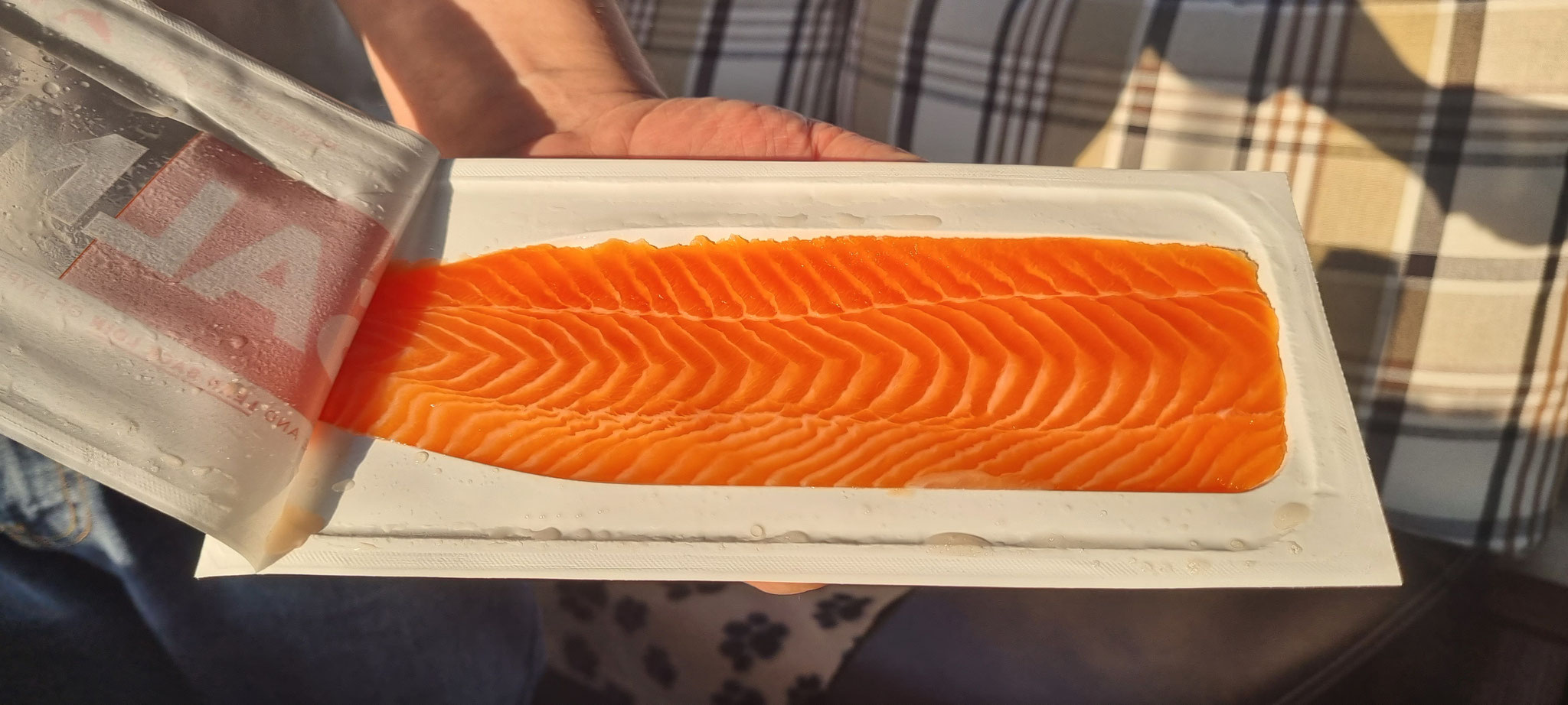 Frischer Lachs...
